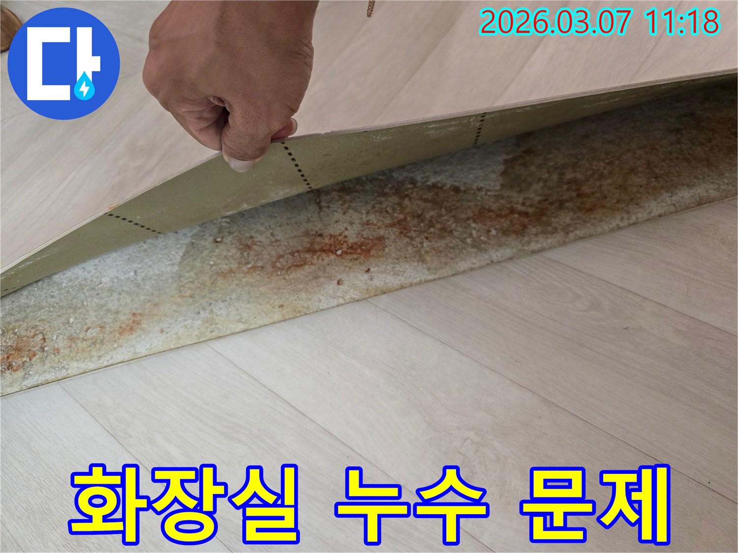 물-샘-현상을-확인하기-위해-바닥재를-개봉한-모습