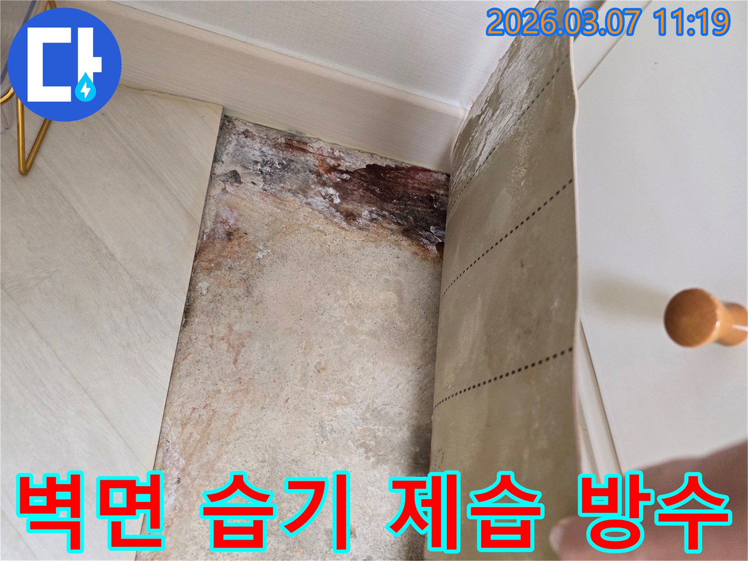 벽지를 제거한 후 드러난 벽면의 심각한 습기 흔적과-곰팡이-부식으로 오염된 벽면의 모습