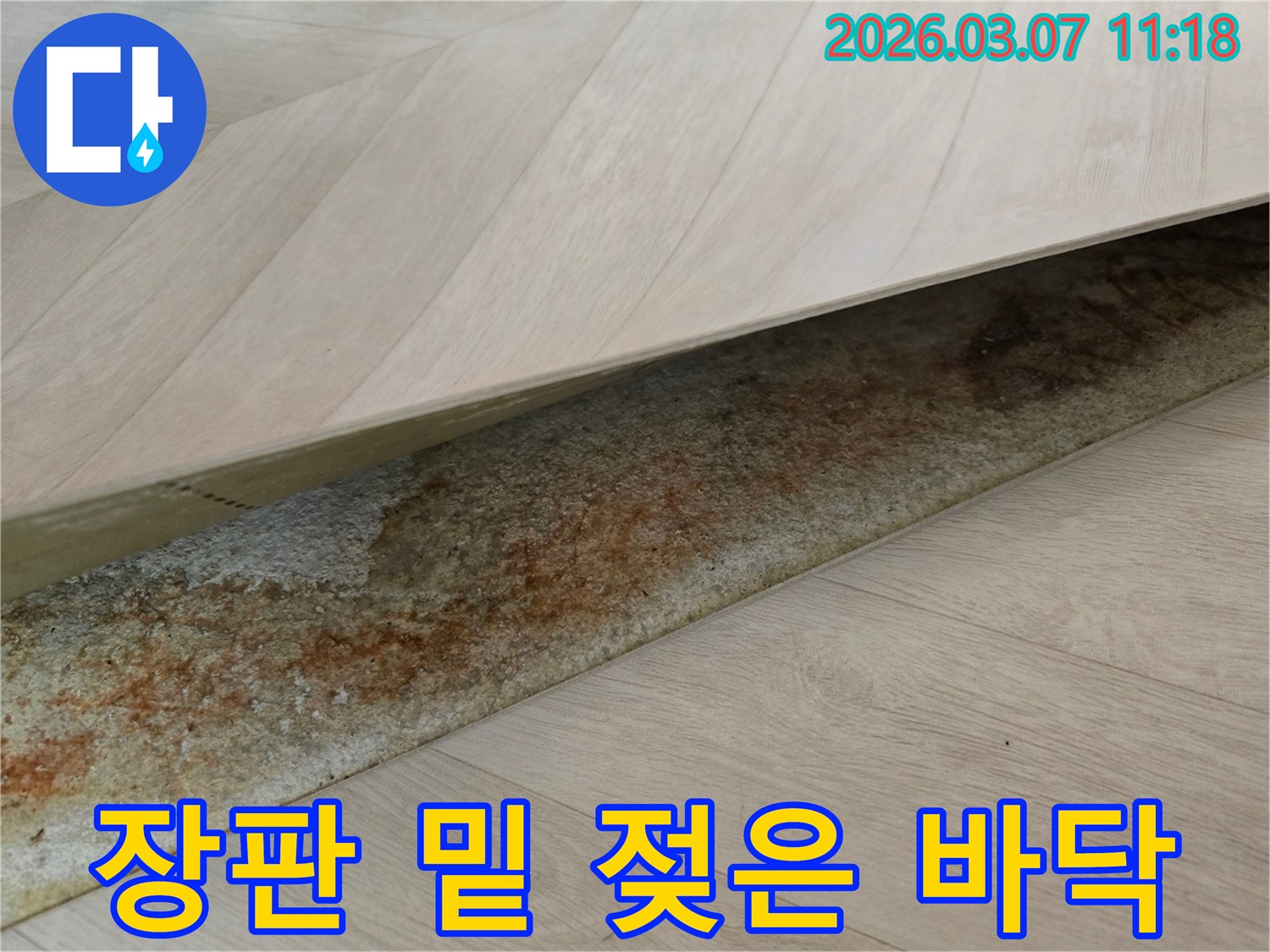 빌라 장판 아래에서-오랜 누수로 인해-축축하게 젖어 변색된 바닥면을 보여주는 사진