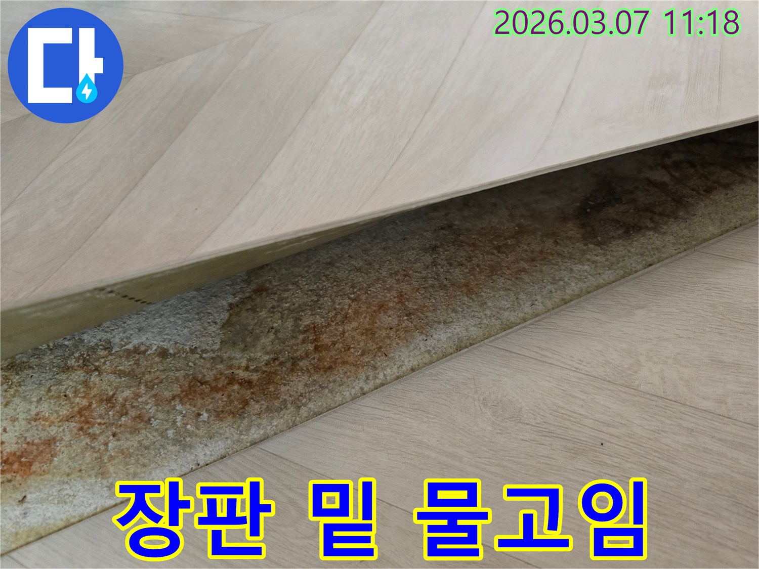 빌라 장판 아래에서-오랜 누수로 인해-축축하게 젖어 변색된 바닥면을 보여주는 사진