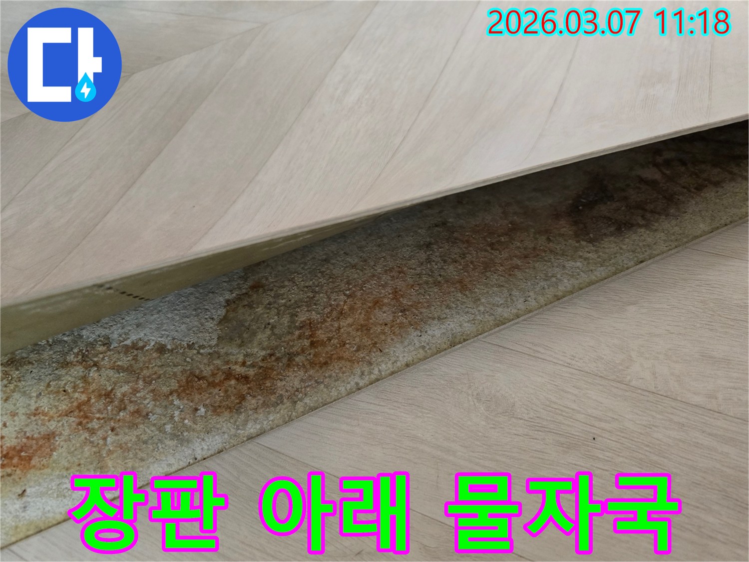 사무실 장판 아래에서-오랜 누수로 인해 발생한-선명한 물자국과 변색이 드러난 모습