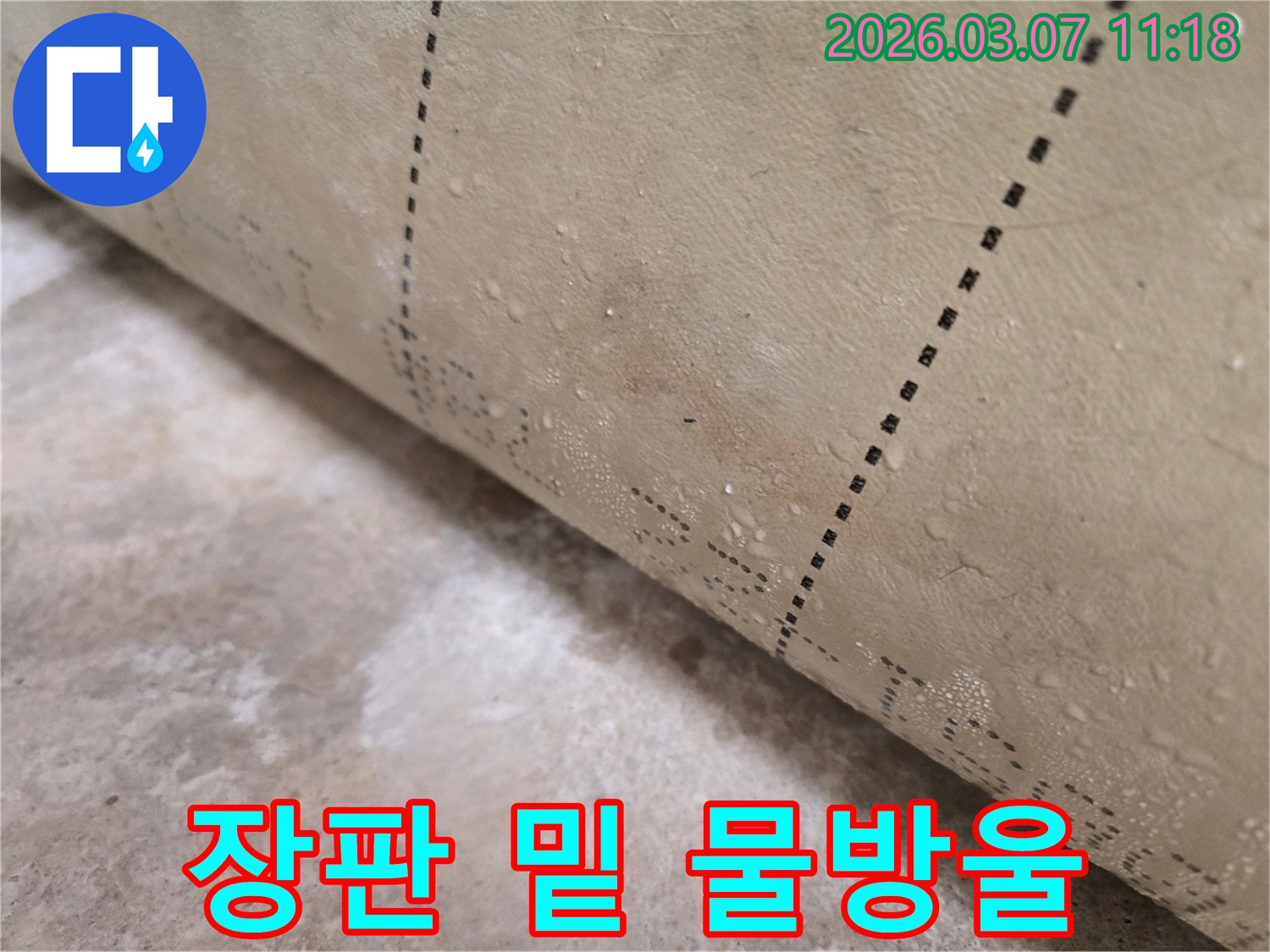 주택 누수 현장-장판을 걷어내자-물방울이 선명하게 보입니다