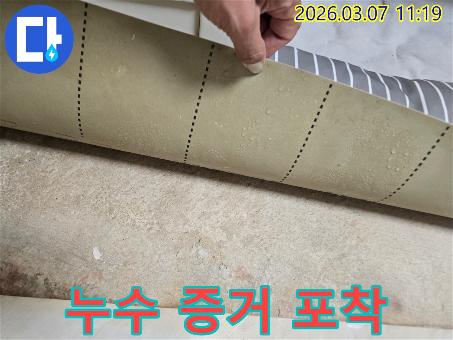 주택-바닥-누수-탐지-중-장판을-들어-올려-확인한-모습