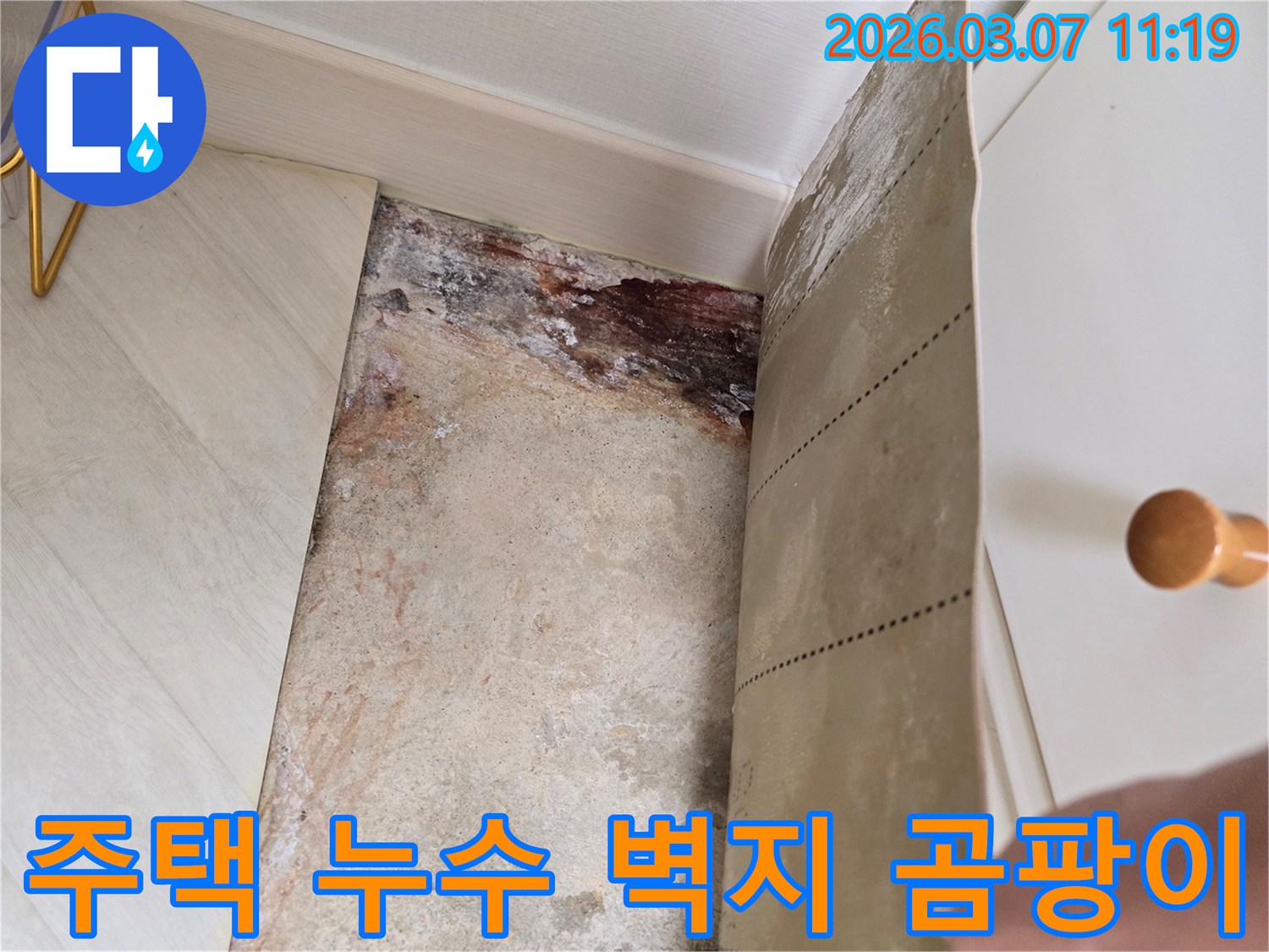 주택 벽면에서 벽지를 제거한 후 발견된 심각한 누수 흔적과-곰팡이 오염 상태를 보여주는 사진