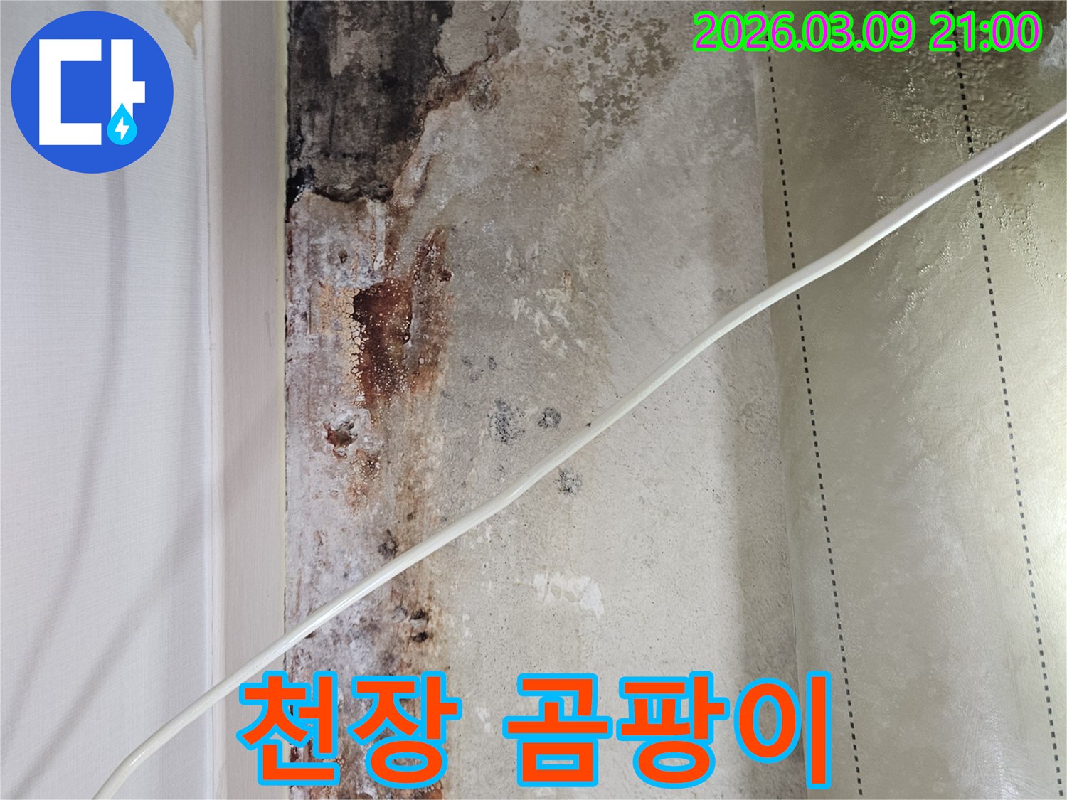 천장-누수로-인해-발생한-곰팡이와-오염-흔적-클로즈업