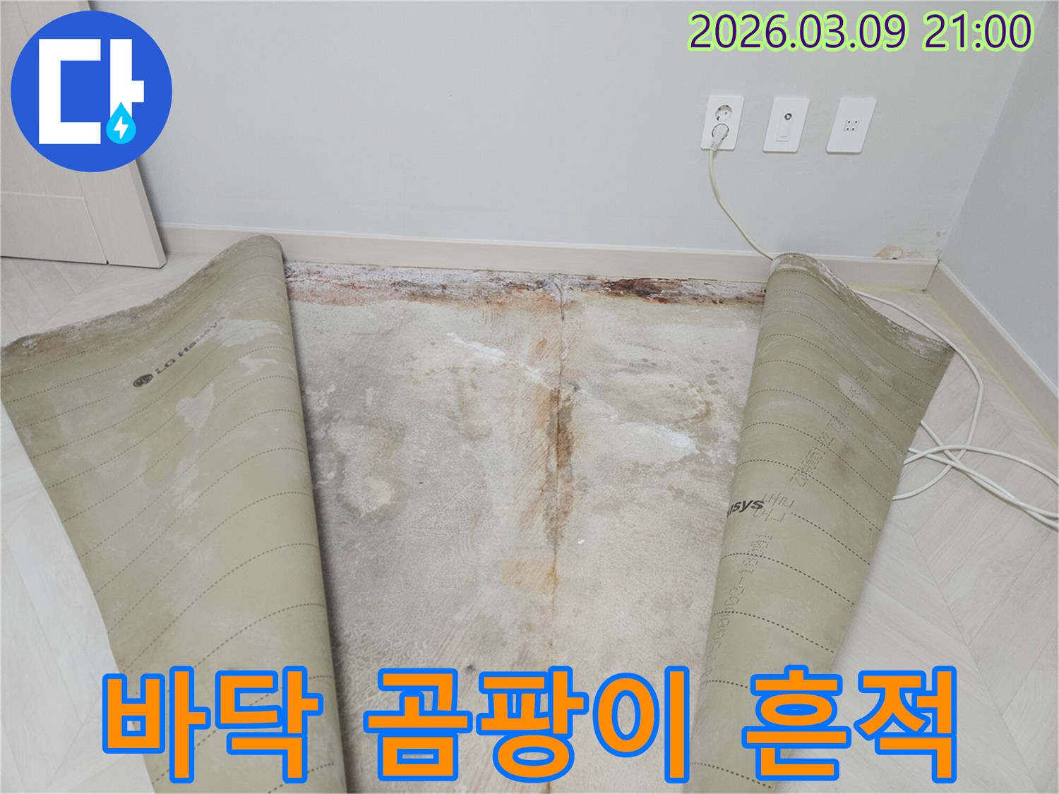 콘크리트 바닥에-짙게 스며든 물기와-벽을 따라 번진-누수 피해와 곰팡이의 증거입니다.