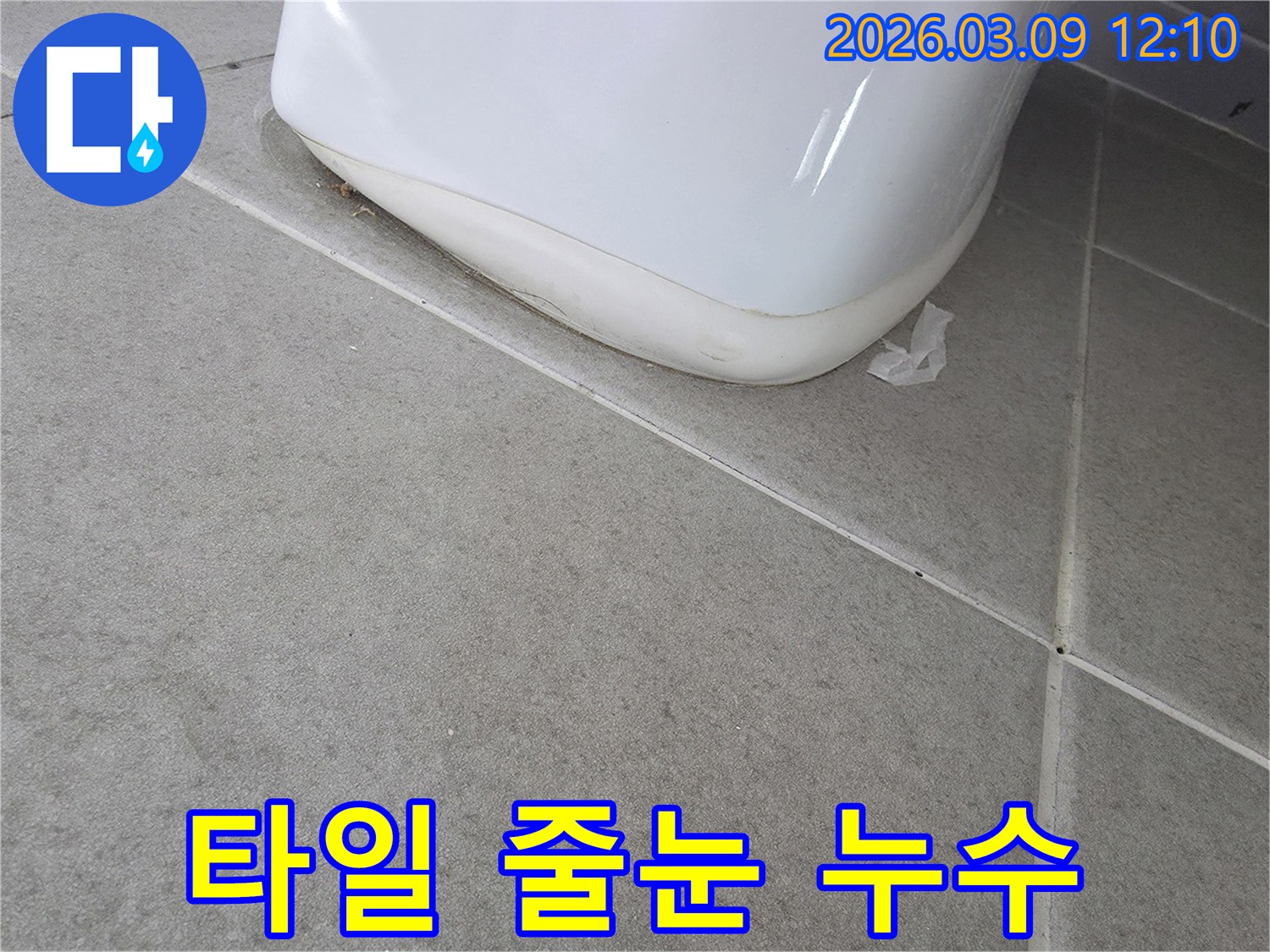 타일-줄눈의-균열로-인한-화장실-바닥-누수-증상을-보여주는-사진
