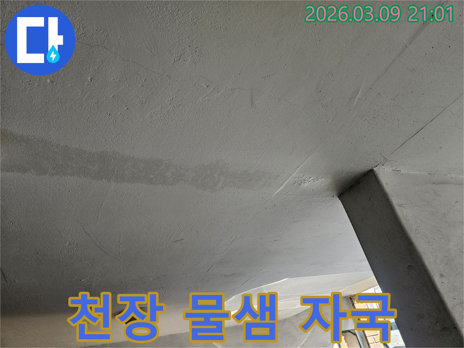 천장-콘크리트에-나타난-물샘-자국을-찍은-사진
