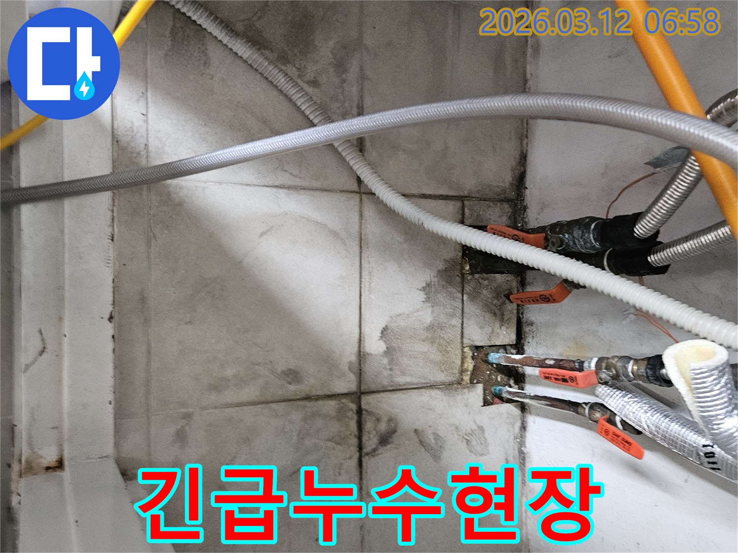 긴급-누수-발생-현장에서-신속하게-물-자국과-습기를-확인하며-응급-조치를-취하는-모습