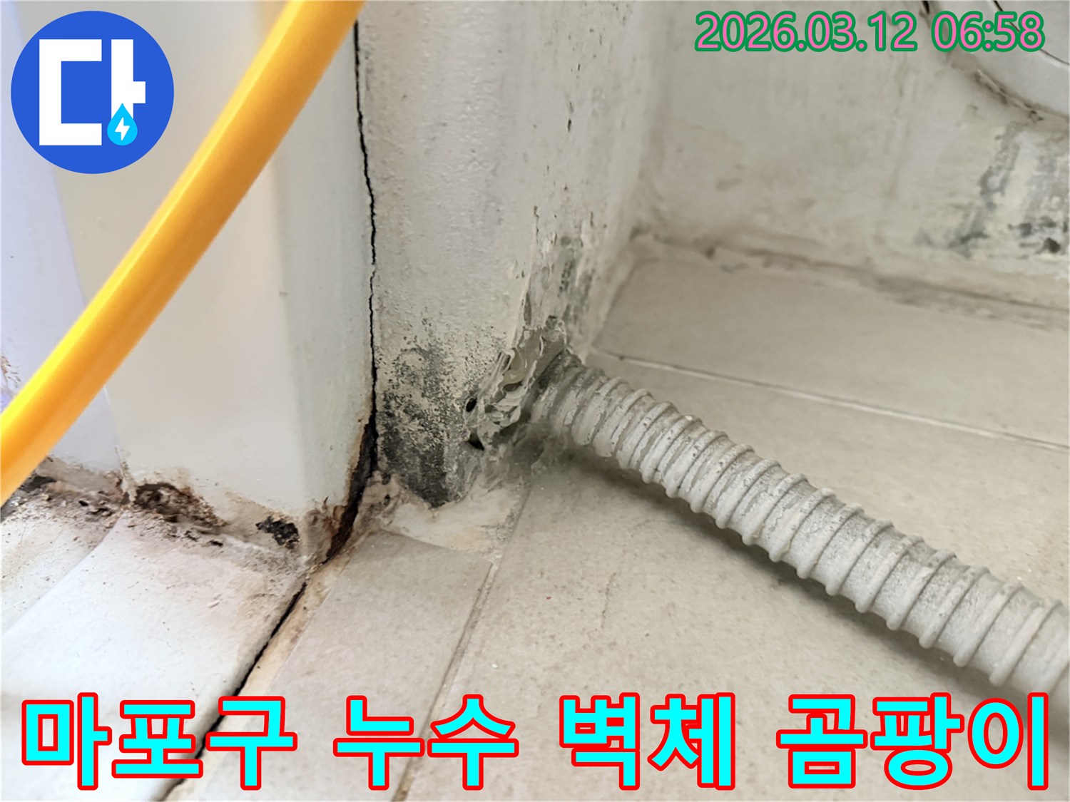 누수-전문-엔지니어가-진단한-마포구-벽면-곰팡이-피해-모습