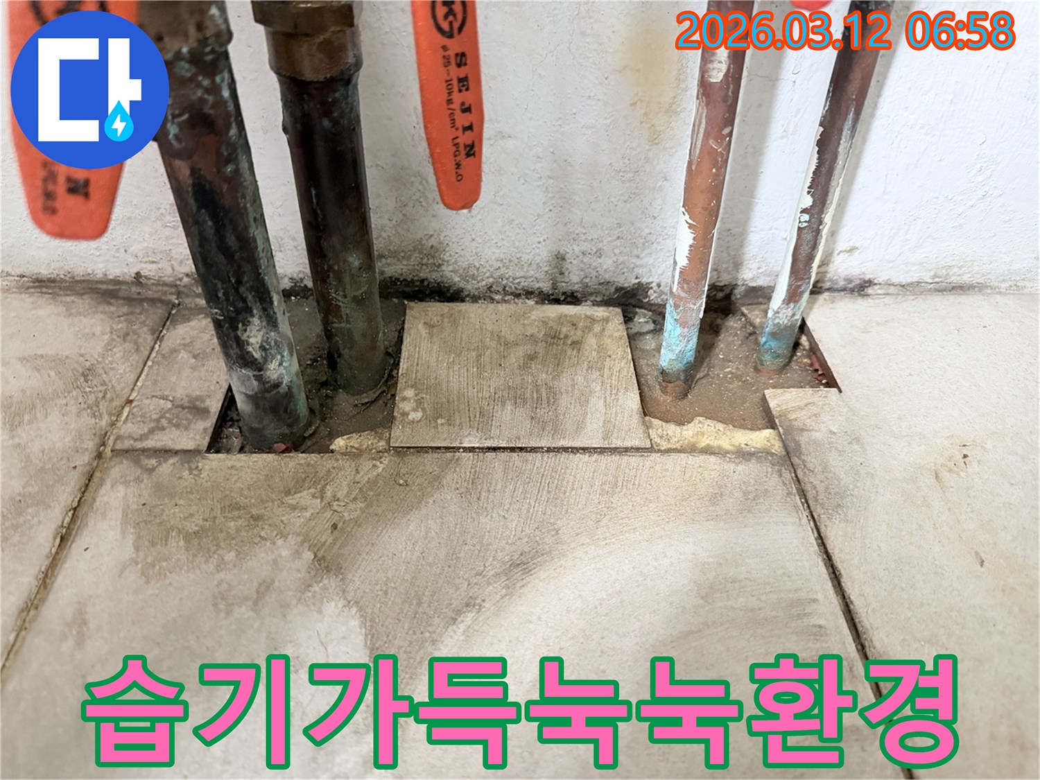 마포구-현장에서-오래된-배관의-누수로-인해-습기가-가득하여-눅눅해진-환경을-확인하고-있습니다