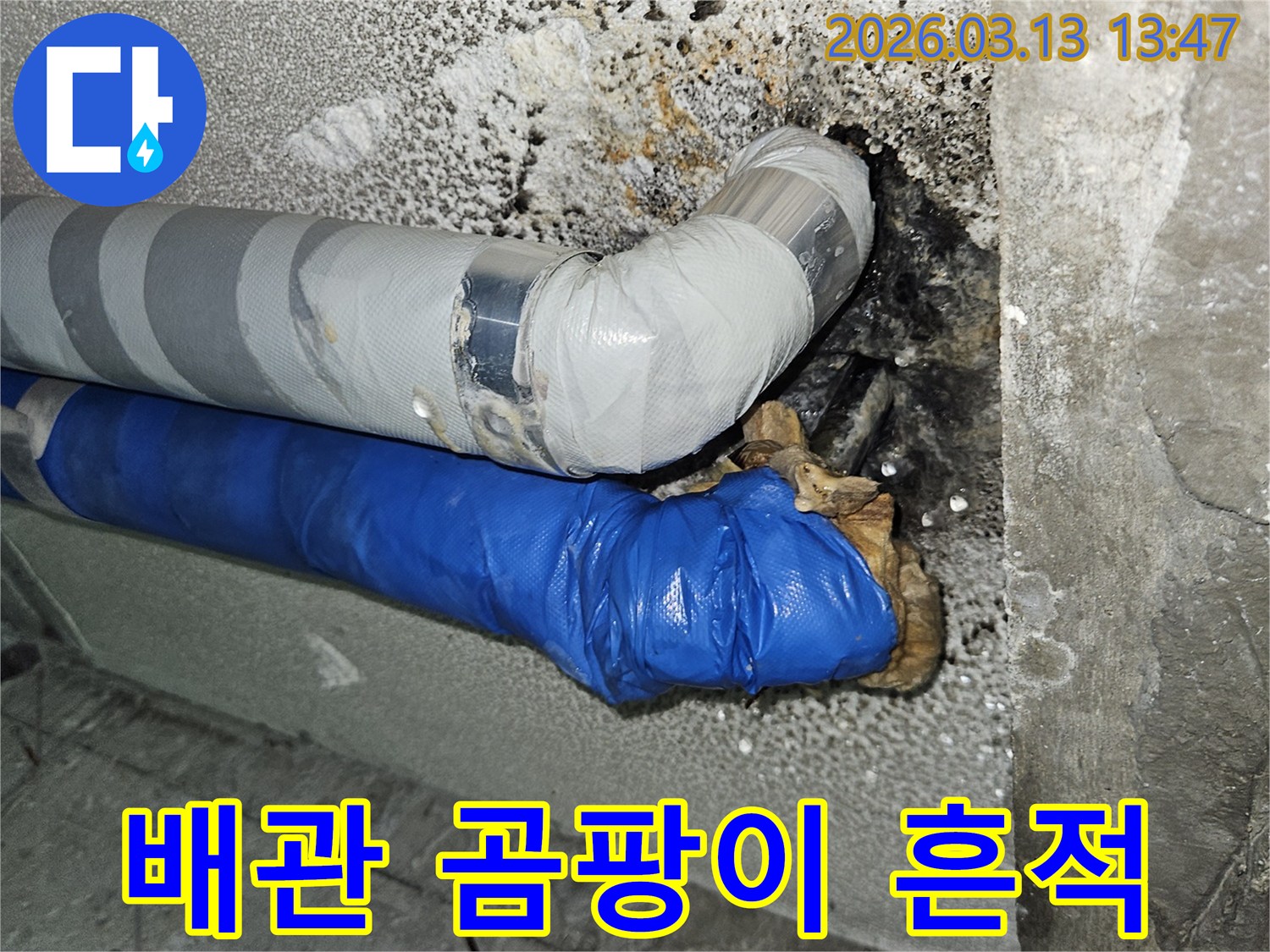 누수로-인해-배관-주변에-곰팡이와-습기가-발생한-모습