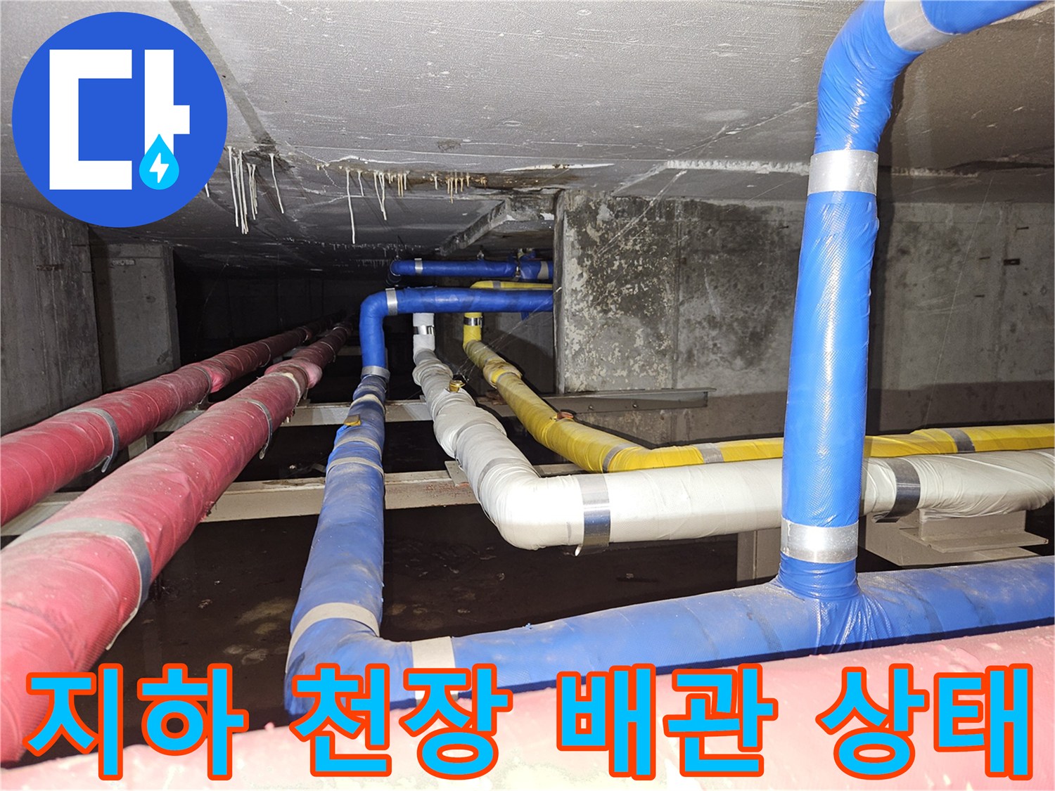 분당 구미동 빌라-지하 천장 내부의 젖은 배관 모습