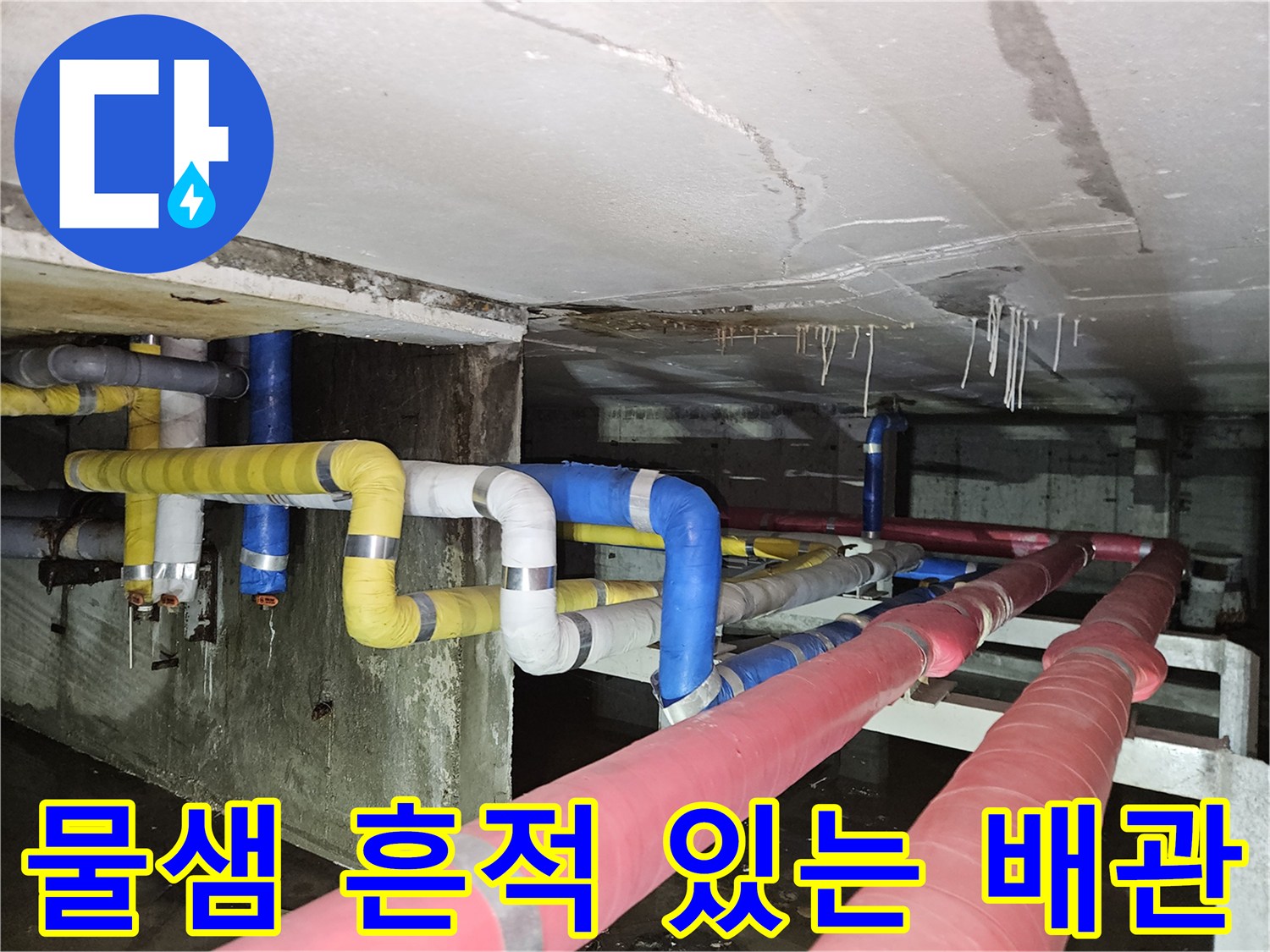 습기를 머금은 천장 배관 - 지하층 누수 원인 조사 장면