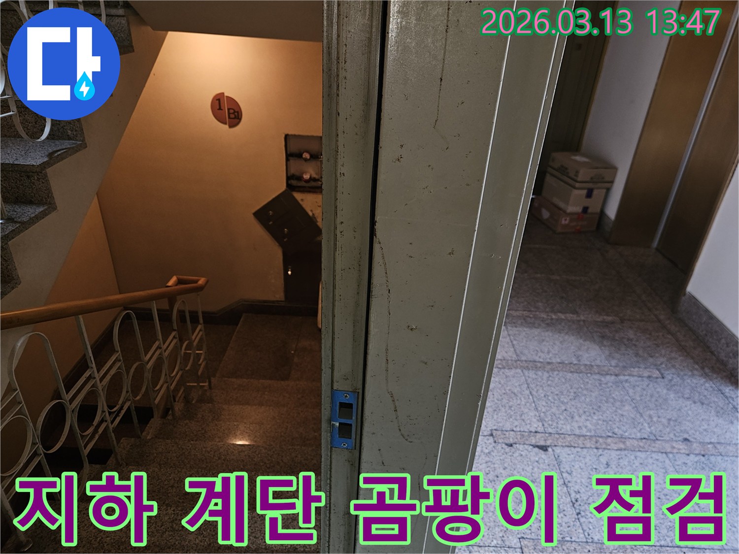 아파트-지하-계단-입구의-벽면과-문틀-주변을-초기-현장-점검하며-곰팡이-문제를-진단하는-모습