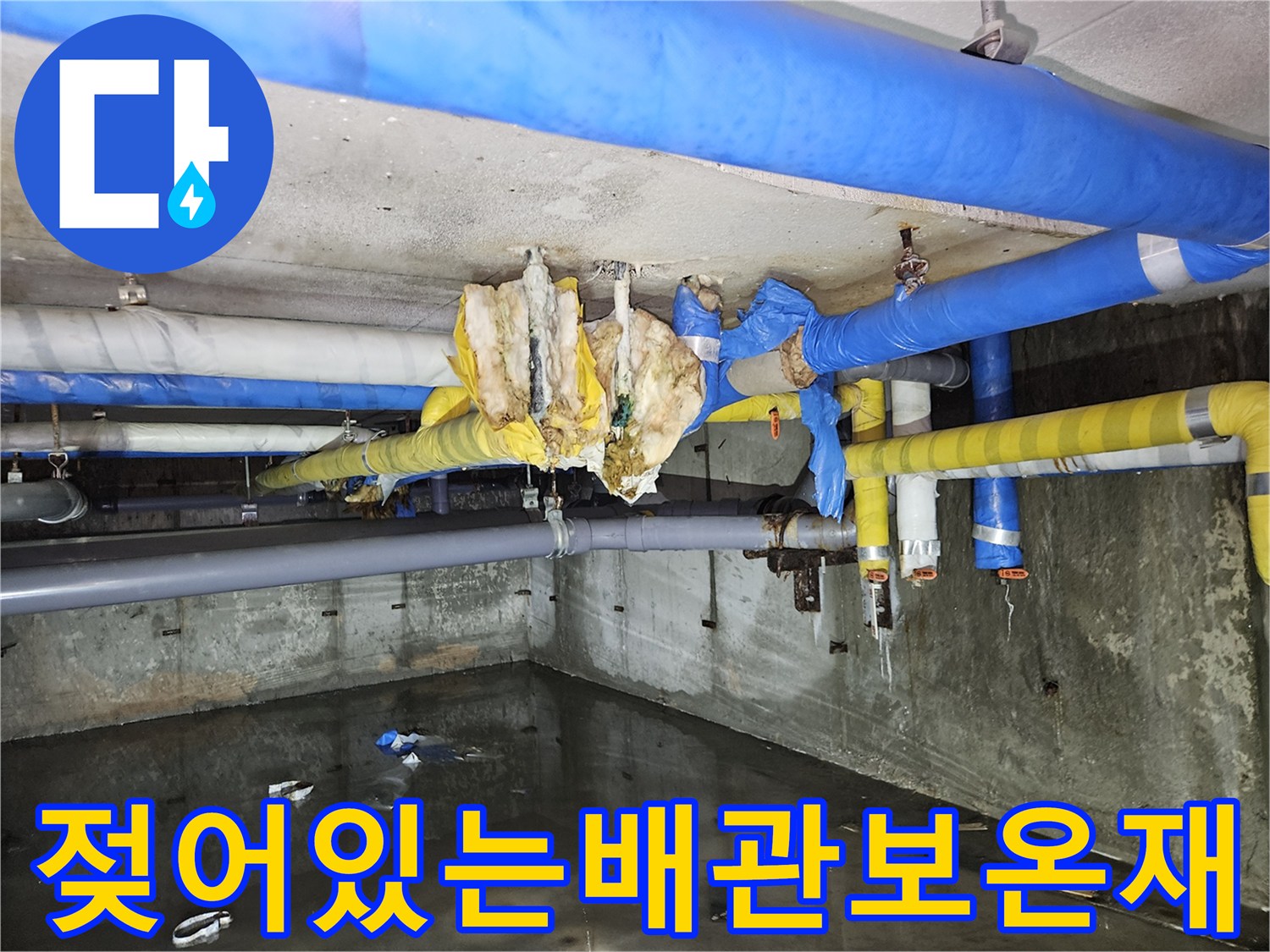 축축하게-젖은-상태의-배관-단열재-및-천장-구조물