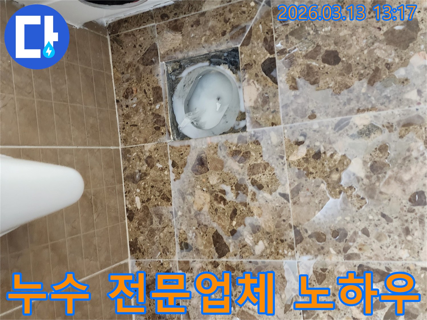 화장실 바닥의 배수구 주변에서-오랜 경험과 노하우를 가진-누수 전문 엔지니어가-문제를 해결하고 있는 모습입니다.