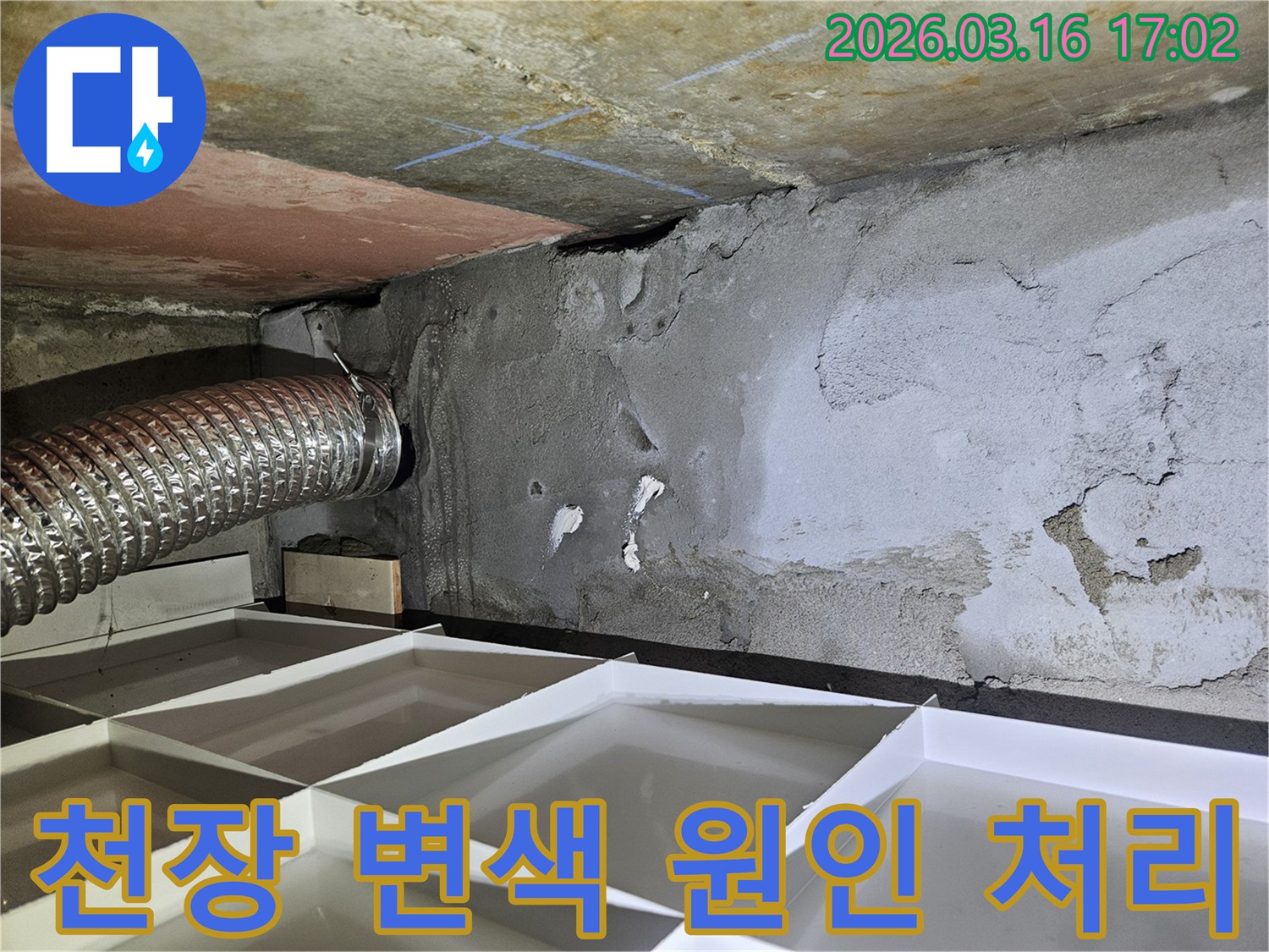 누수-엔지니어가-천장-콘크리트의-변색된-부분을-확인하며-누수-원인을-분석하고-처리-방안을-논의하는-사진입니다