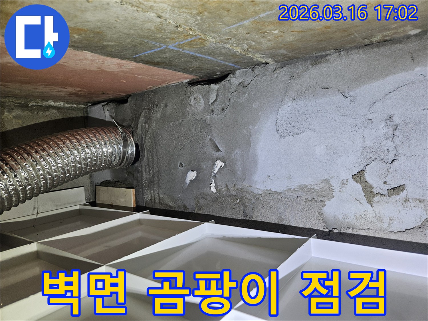 누수-전문가가-벽면에-발생한-곰팡이-흔적을-자세히-살펴보며-누수-정도를-판단하는-사진입니다