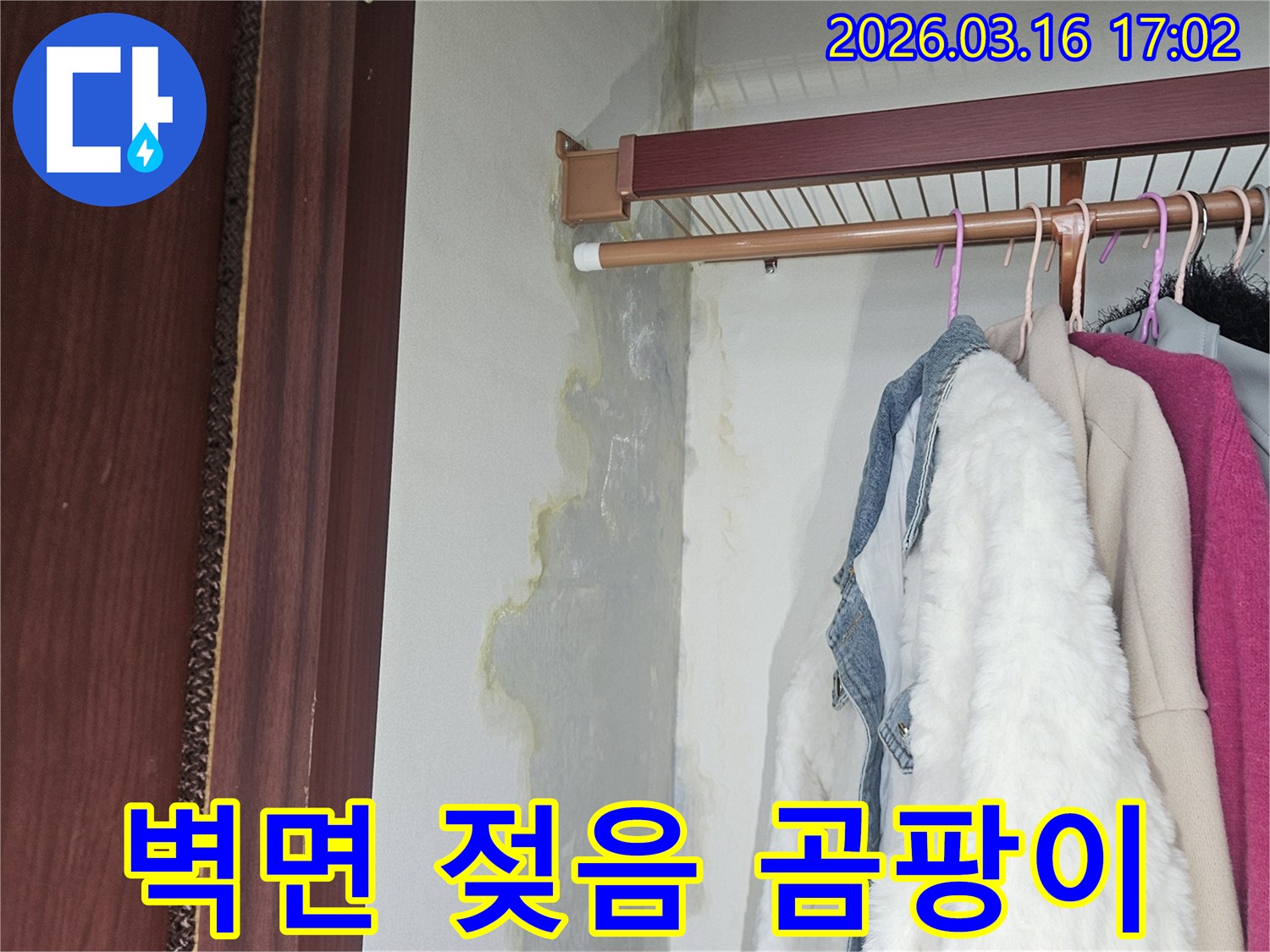 벽면 하단과 바닥에 물이 고여 있고-누렇게 변색된 곰팡이 흔적이 보이는 옷장 내부