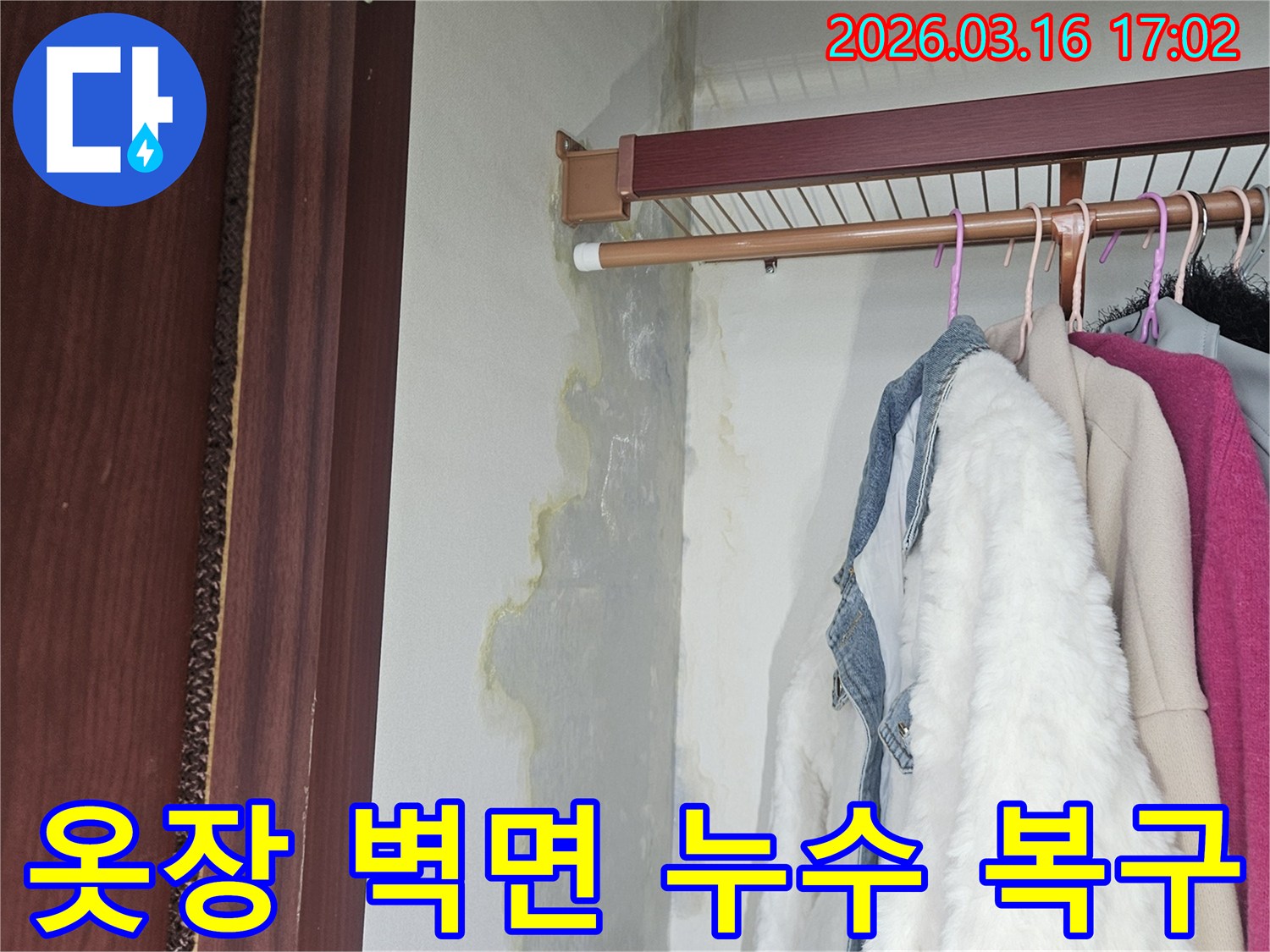 옷장 내부 벽면과 바닥에 누수로 인해 물이 스며들고-누런 얼룩과 곰팡이가 발생한 모습