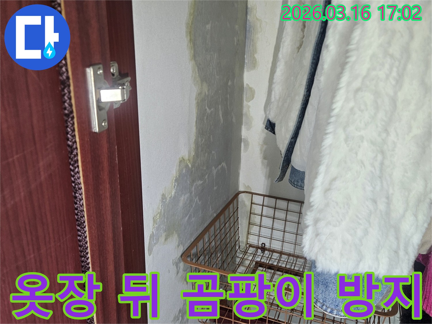 옷장 뒤편- 벽면에 생긴- 곰팡이와- 습기로 인한- 오염 부위