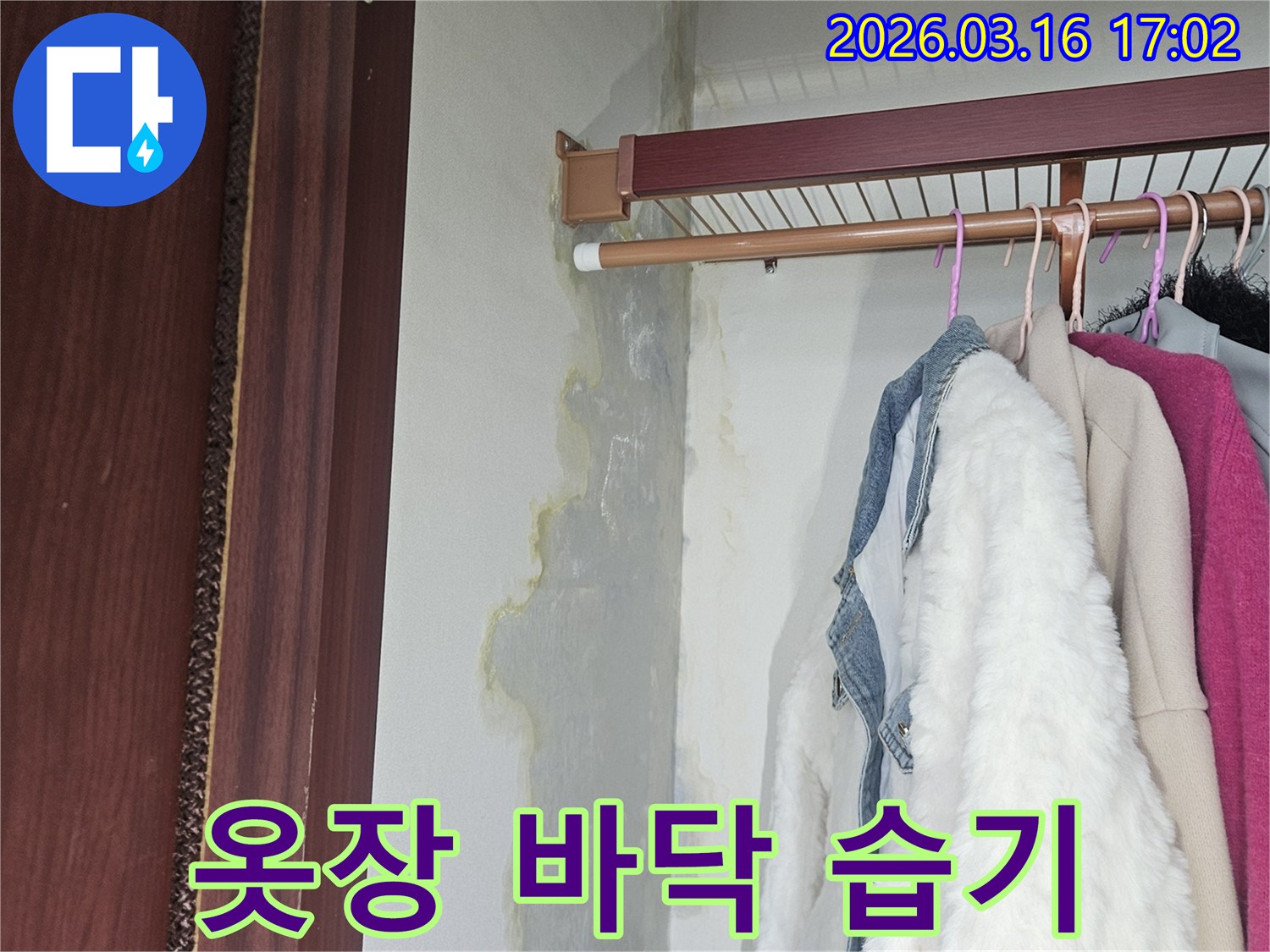 옷장 바닥에 물이 스며들어 축축하게 젖어 있고-벽면 하단에도 누수로 인한 얼룩이 보이는 상태