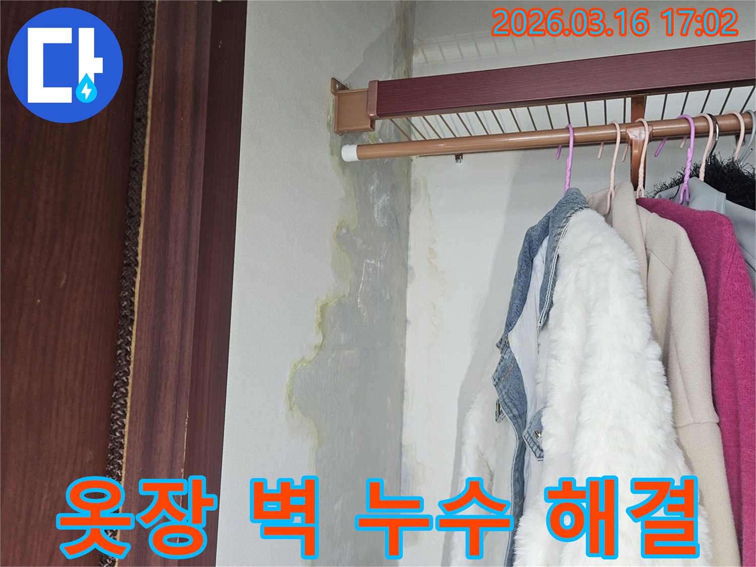 옷장 벽면 하단과 바닥에 누수로 인해 물이 스며들고-얼룩과 곰팡이가 생긴 현장 사진
