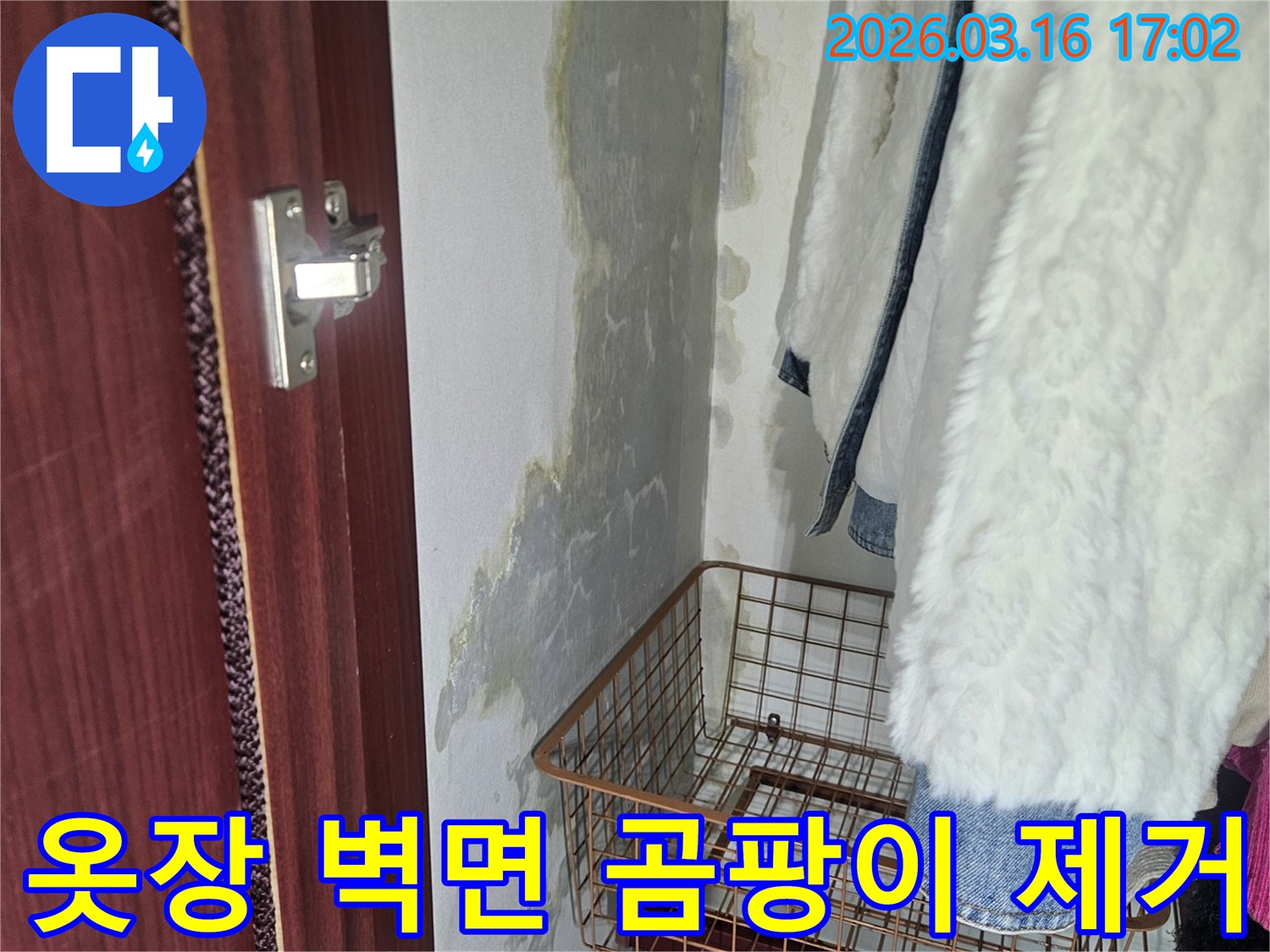 옷장 안쪽 벽면 하단에- 물이 스며들어- 곰팡이와- 습기가 가득한 모습