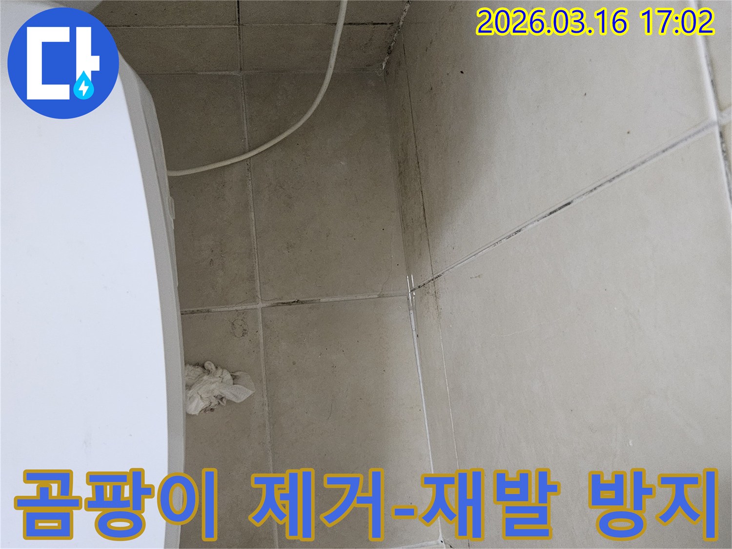 천장과 벽면 타일에 검은 곰팡이가 넓게 퍼져있으며-이는 누수로 인한 습기 축적의 명확한 증거입니다