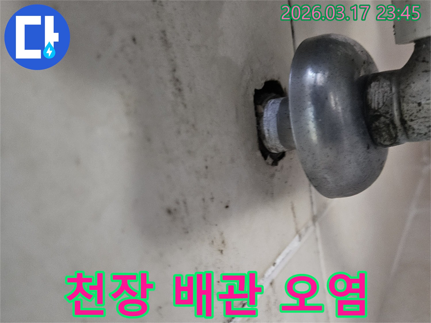 누수로 인해 발생한 천장 곰팡이-정밀 진단이 필요한 상황입니다