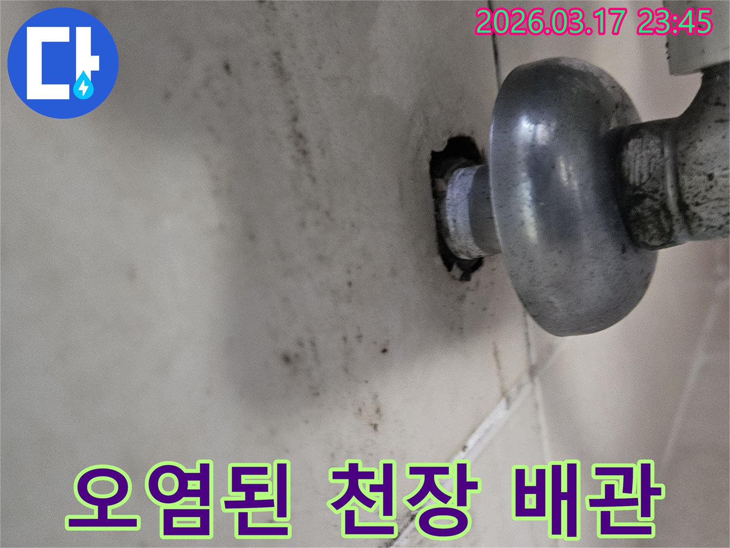 누수로 인해 발생한 천장 곰팡이-정밀 진단이 필요한 상황입니다