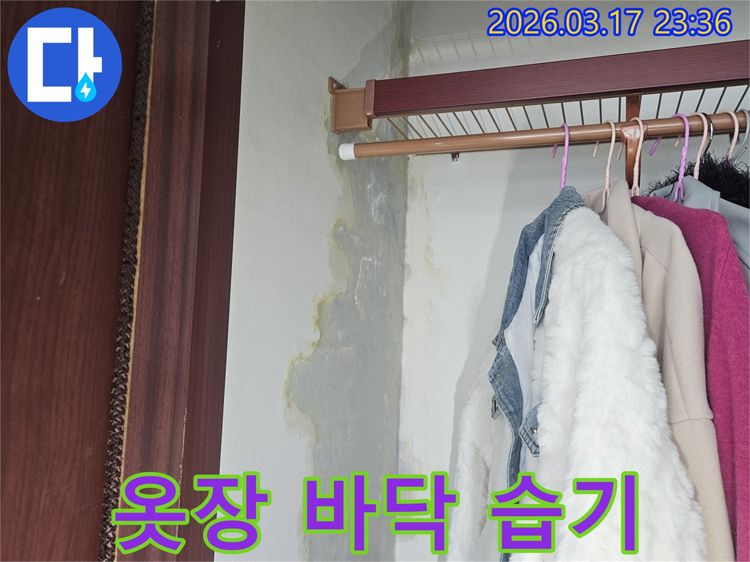 누수로 인해 옷장 바닥과 벽면이-젖어 변색된-현장을 촬영한 사진입니다.