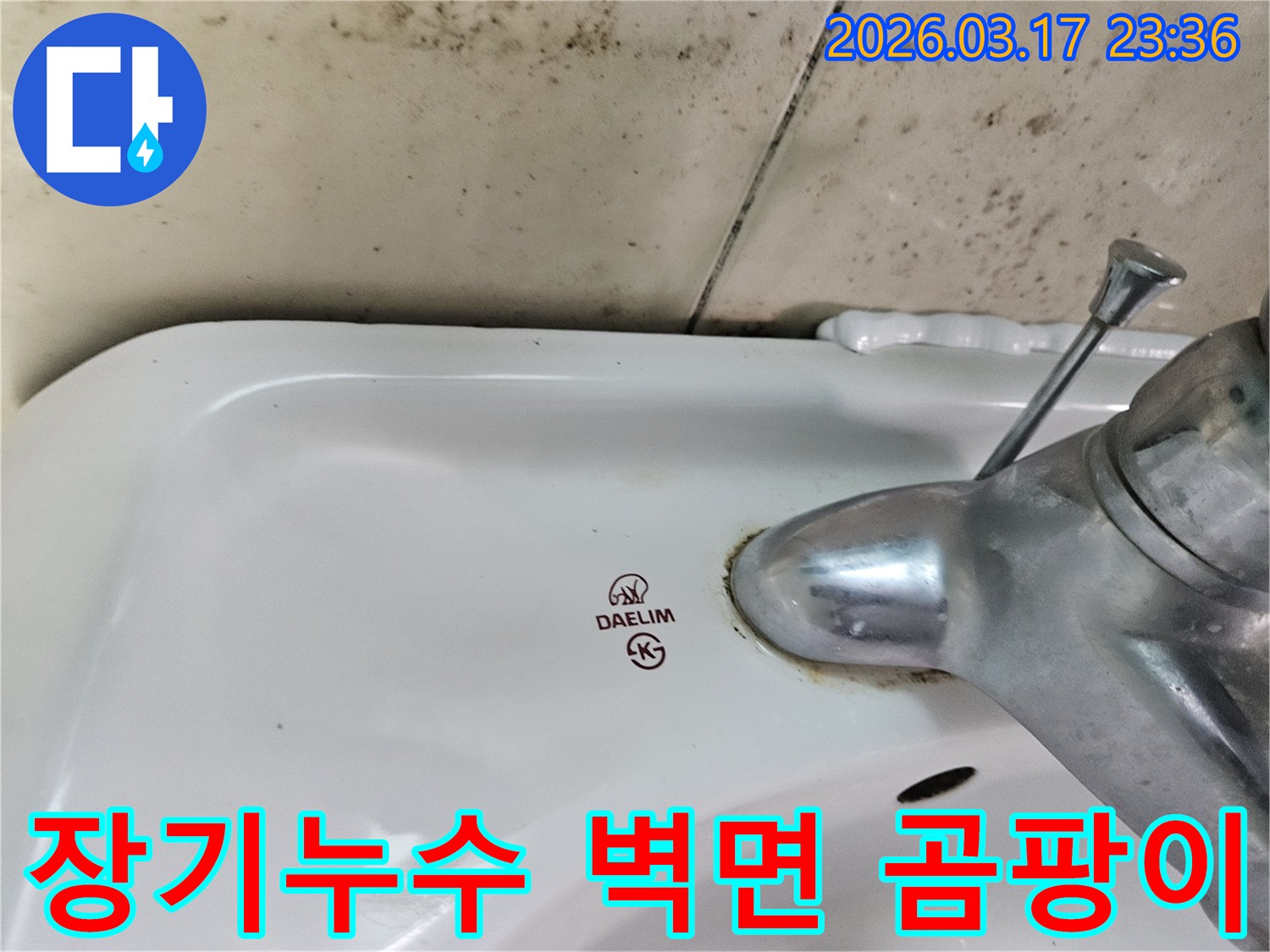 대림 세면대 뒤편 벽에- 오랜 기간 방치된 듯한- 심각한 검은 곰팡이가- 광범위하게 퍼져있습니다