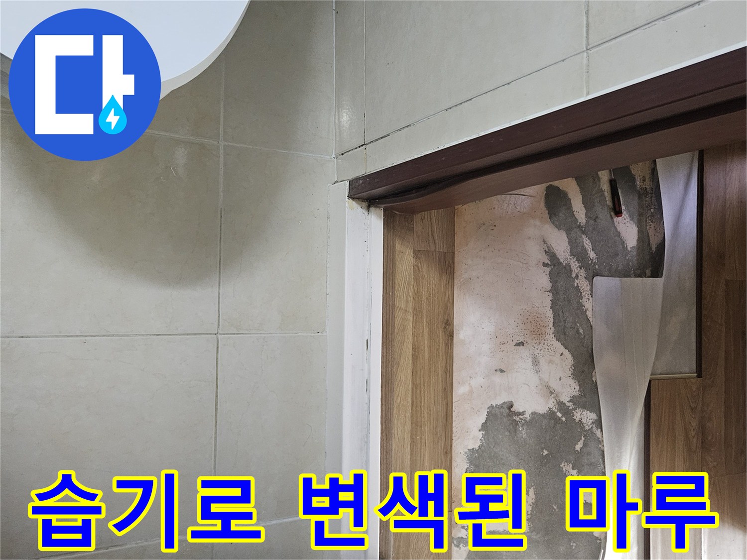 물샘-현상으로-변색된-거실-마루바닥과-타일-경계