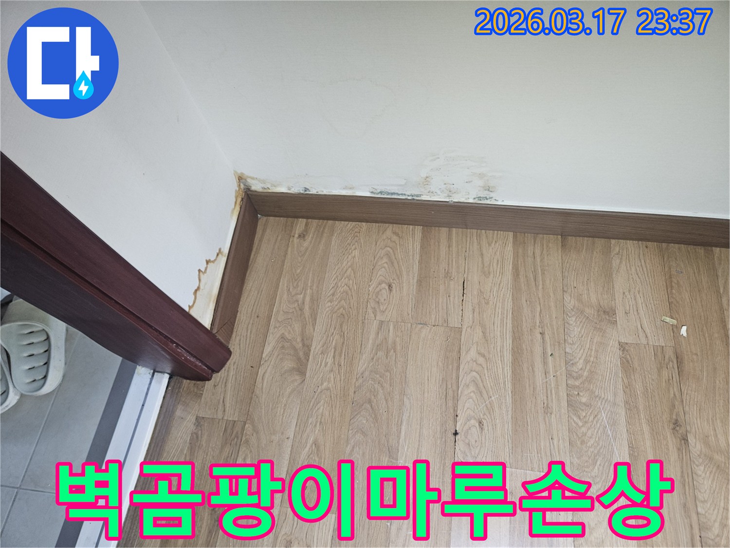 빌라 벽면에-곰팡이가 피고-마루가 손상된-누수 현장-사진입니다