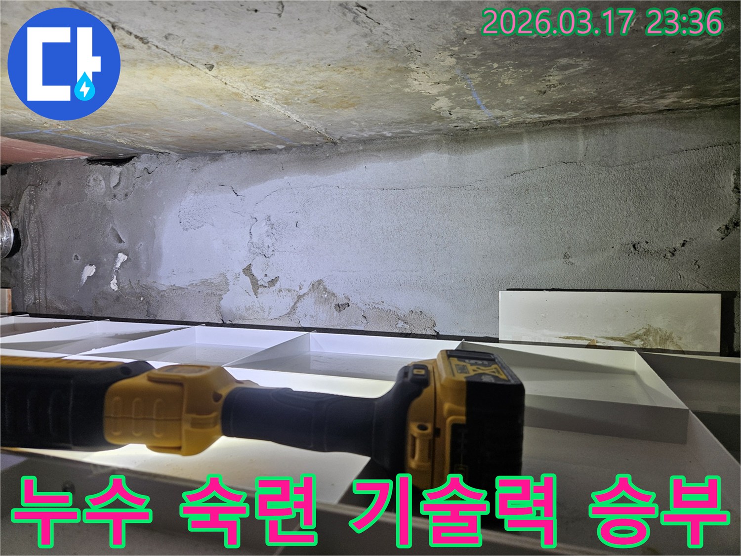 숙련된 누수 전문 엔지니어가-오랜 노하우와 기술력을 바탕으로-천장 누수 문제를-정확하게 진단하고 있습니다.