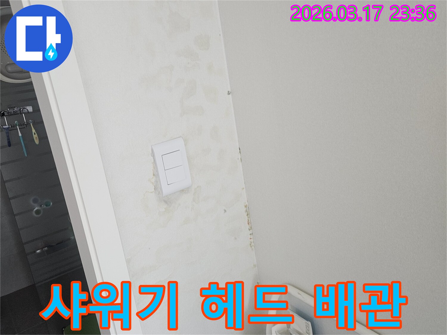 스위치-주변-벽면의-젖음이-인접한-욕실의-샤워기-헤드-배관-누수로-인한-것인지-확인하고-욕실-피해를-최소화하는-모습입니다.
