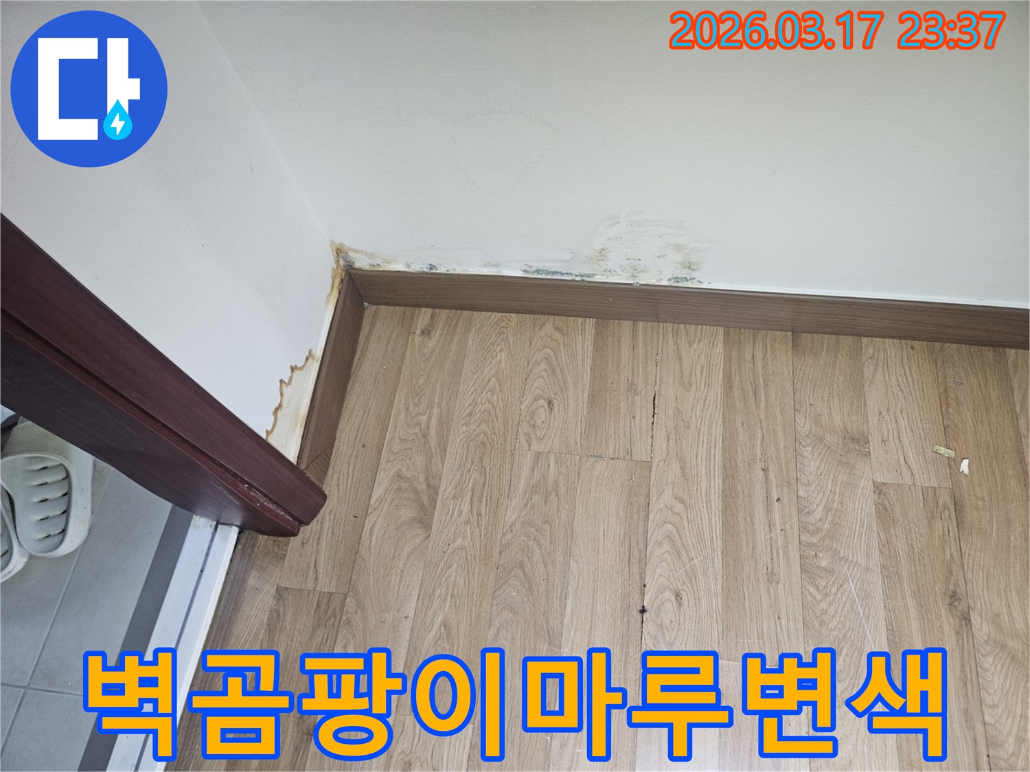 아파트 벽면 곰팡이와-마루 변색이-발생한-누수 현장-사진입니다