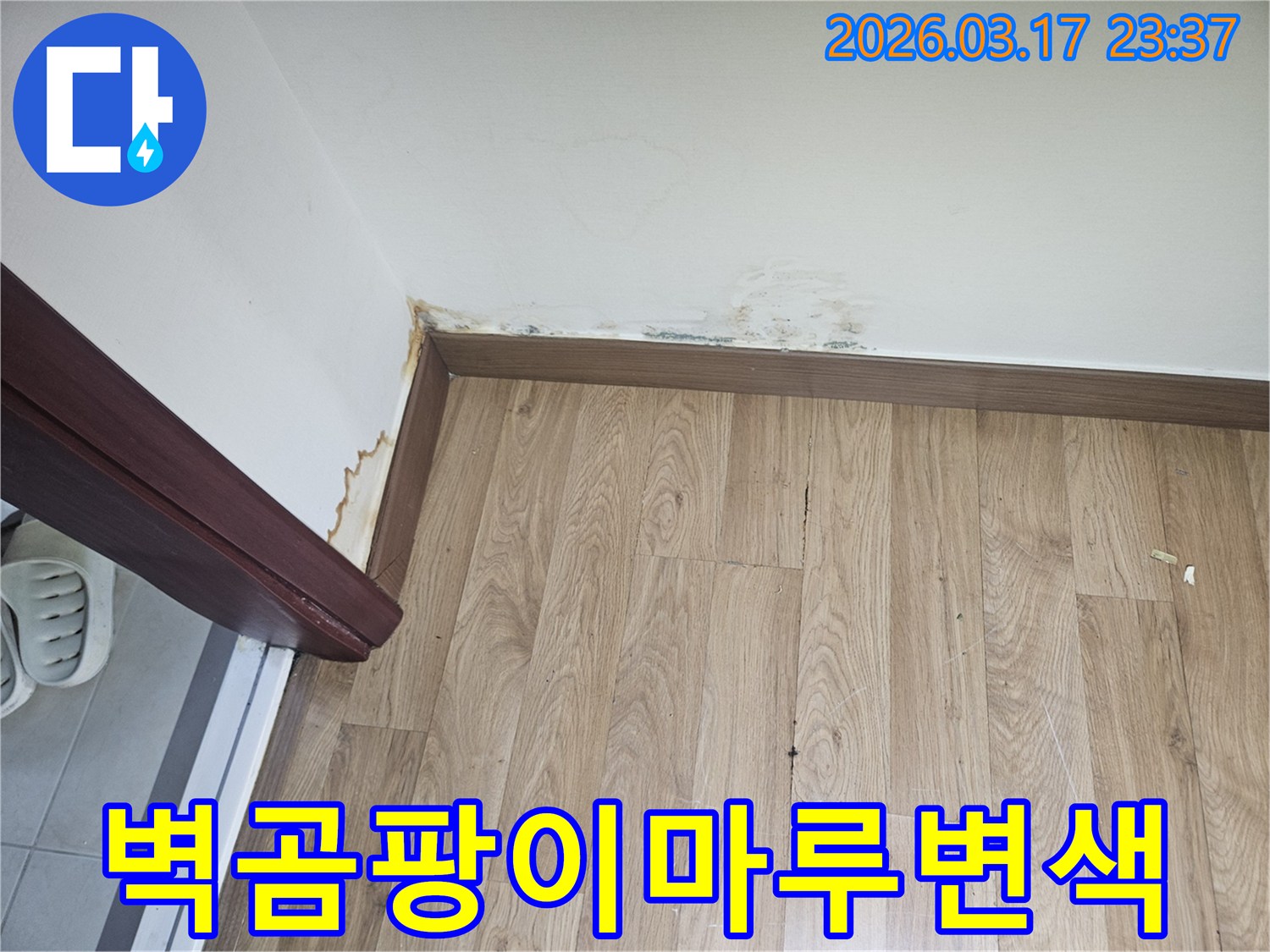아파트 벽면 곰팡이와-마루 변색이-발생한-누수 현장-사진입니다