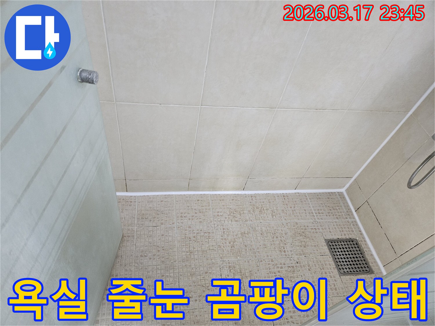 욕실 벽면과 바닥 타일의 이음새-줄눈에 발생한 검은 곰팡이와-오염 상태를 자세히 보여주는 사진입니다