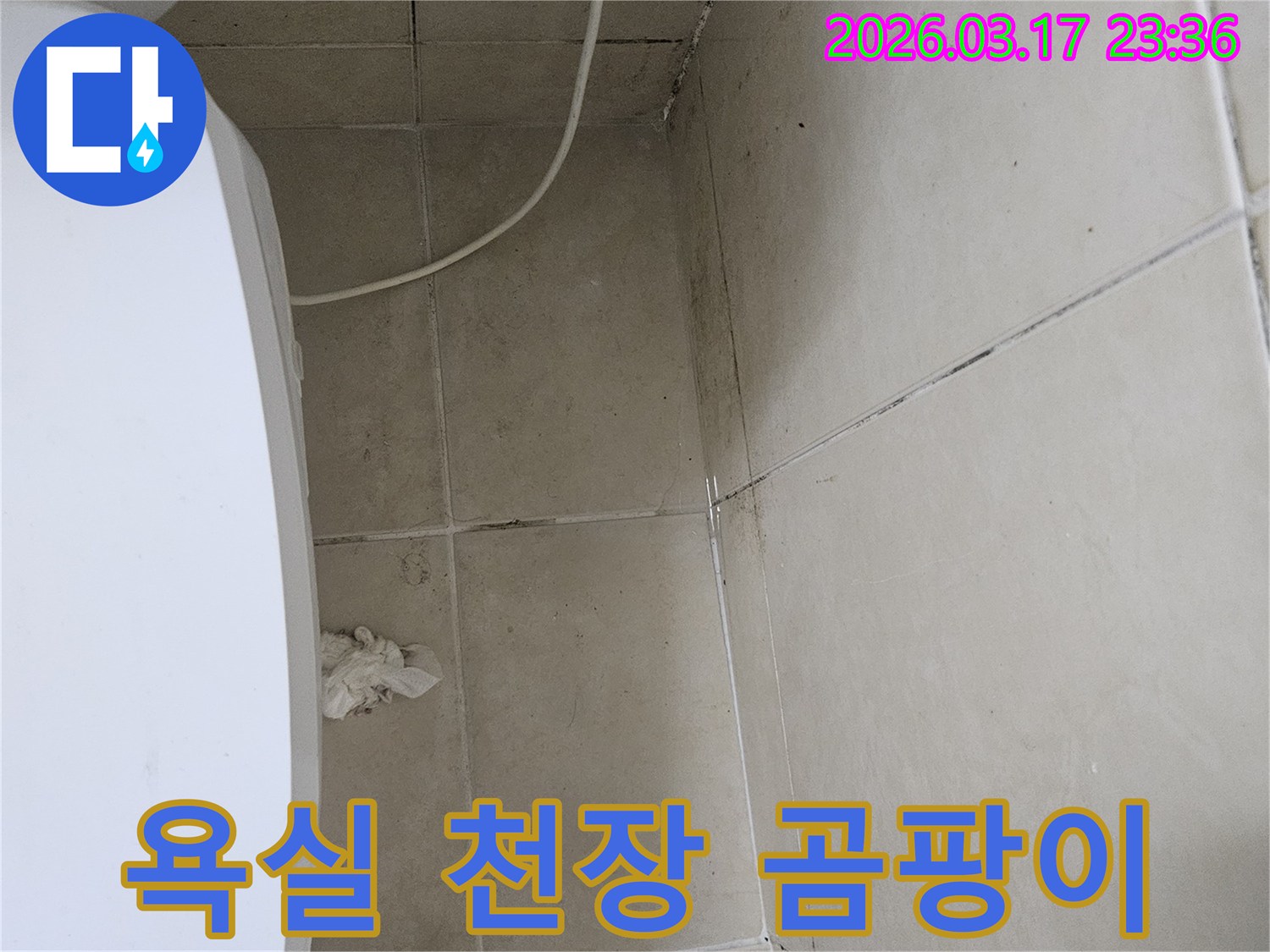 이 이미지는-욕실-천장-타일과-벽면-모서리에-발생한-심각한-곰팡이와-오염을-보여주며-이는-누수로-인한-지속적인-습기-침투를-의미합니다