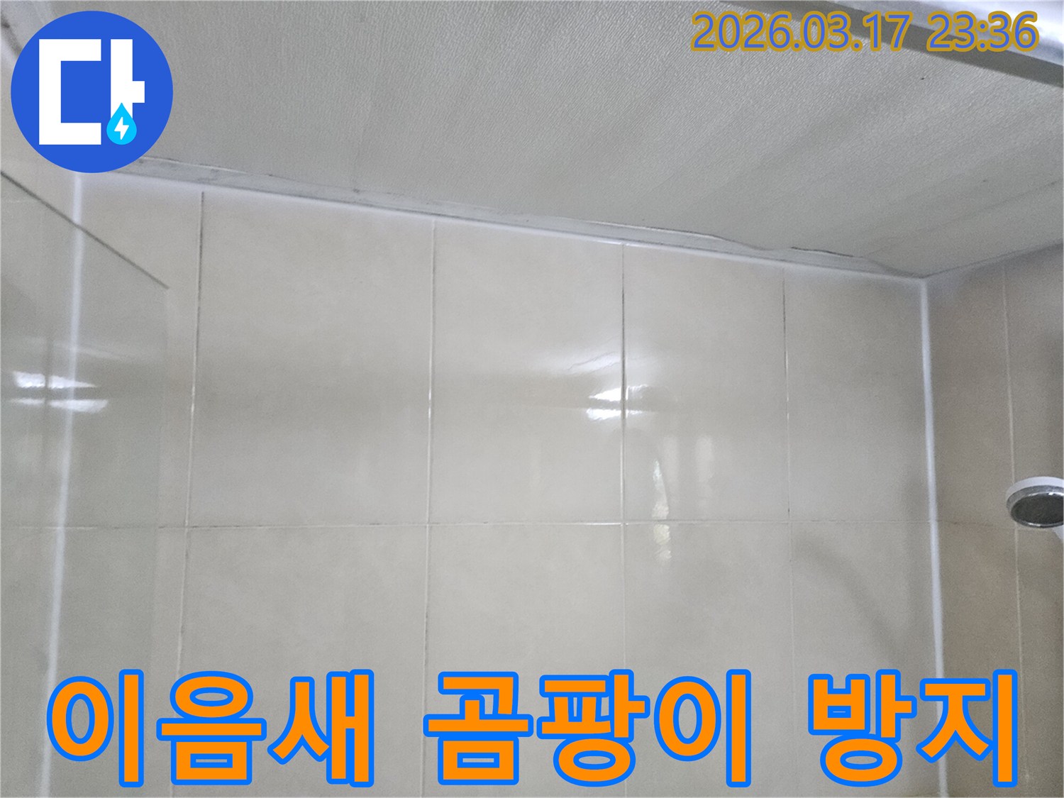 이-이미지는-천장과-벽면-이음새에-곰팡이-방지-처리를-하는-작업-과정을-보여줍니다.