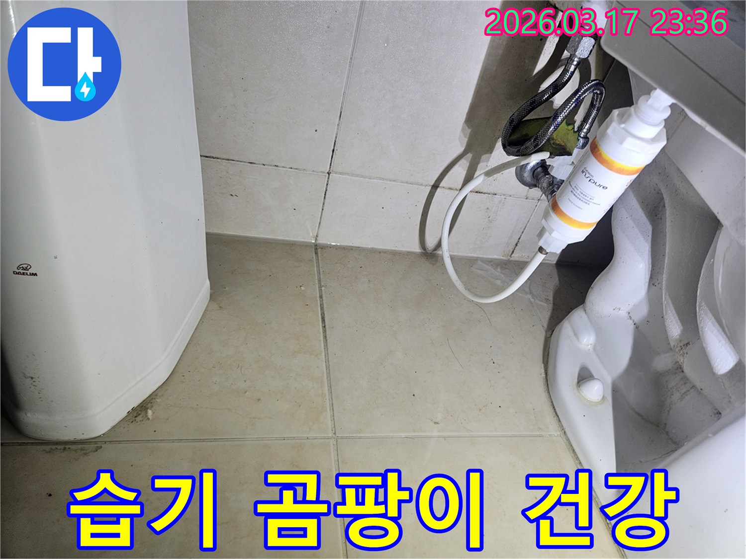 이 이미지는-화장실 바닥 전체가-지속적인 물기로 인해-젖어있고-곰팡이가 발생한 모습을-선명하게 보여줍니다.