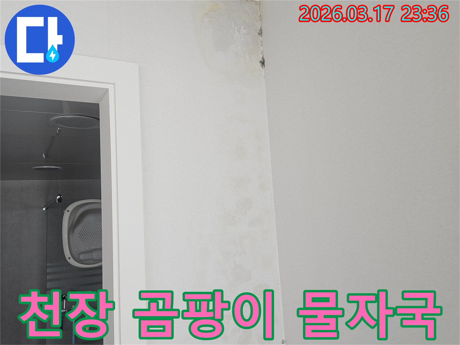 천장-모서리에-나타난-누수-흔적과-곰팡이-확인