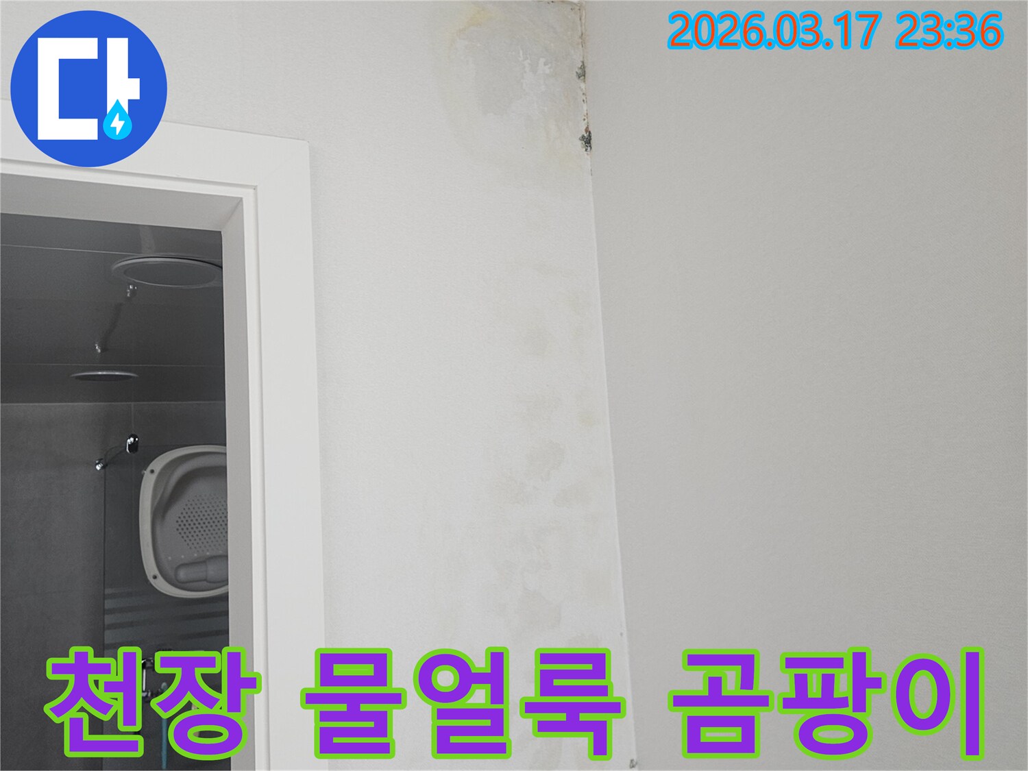 천장-모서리에-나타난-물-얼룩과-곰팡이-흔적-확인