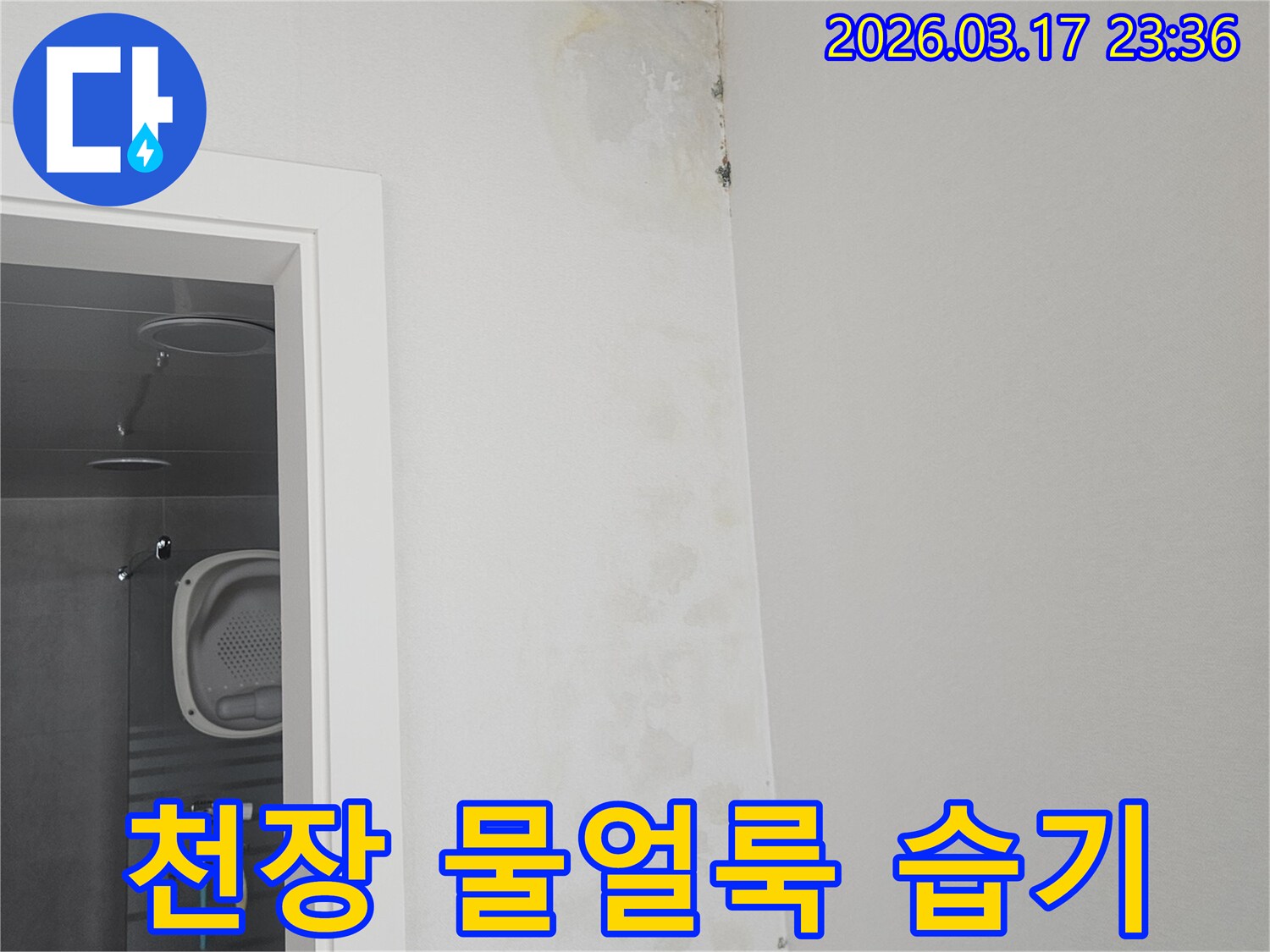 천장-모서리에-나타난-물-얼룩과-습기-현상-확인