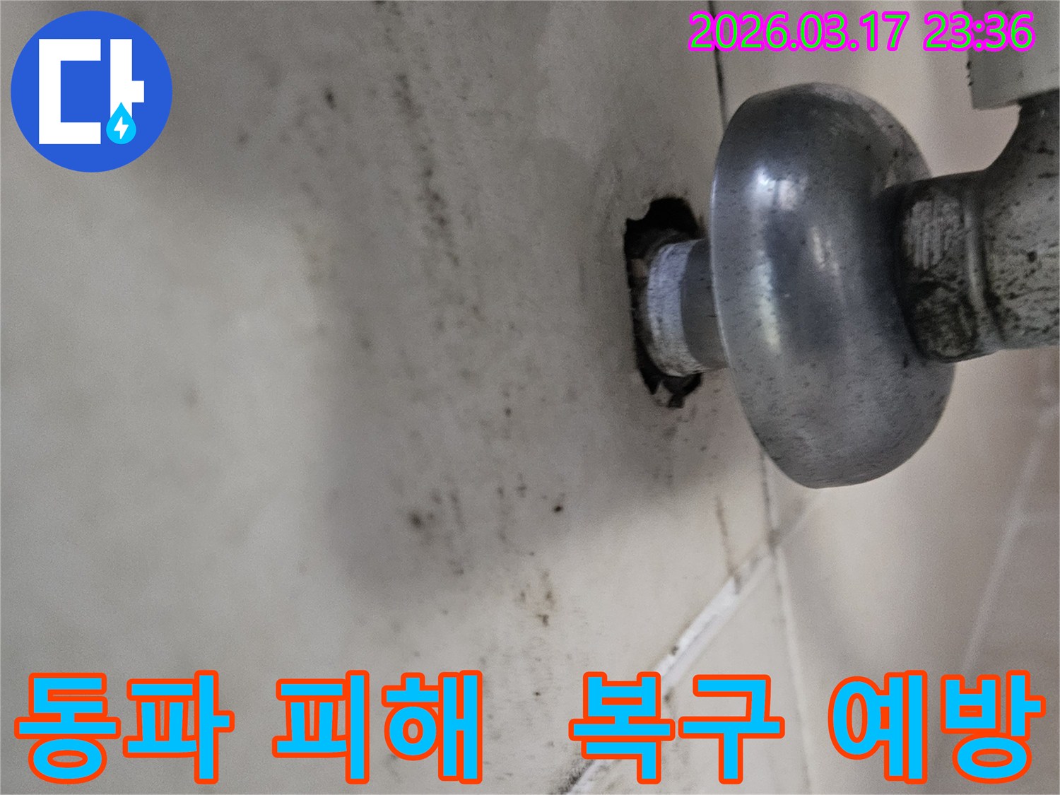 천장-배관에서-발생한-누수로-인해-오염된-벽면과-겨울철-동파로-인한-배관-파열-및-누수-진단-모습