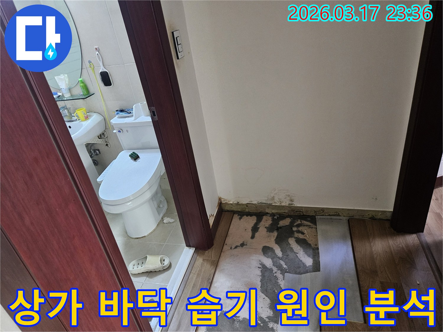 화성 병점 지역-상가 화장실 문턱 주변에-누수로 인해-바닥재가 손상되고-곰팡이가 발생한-현장 사진입니다