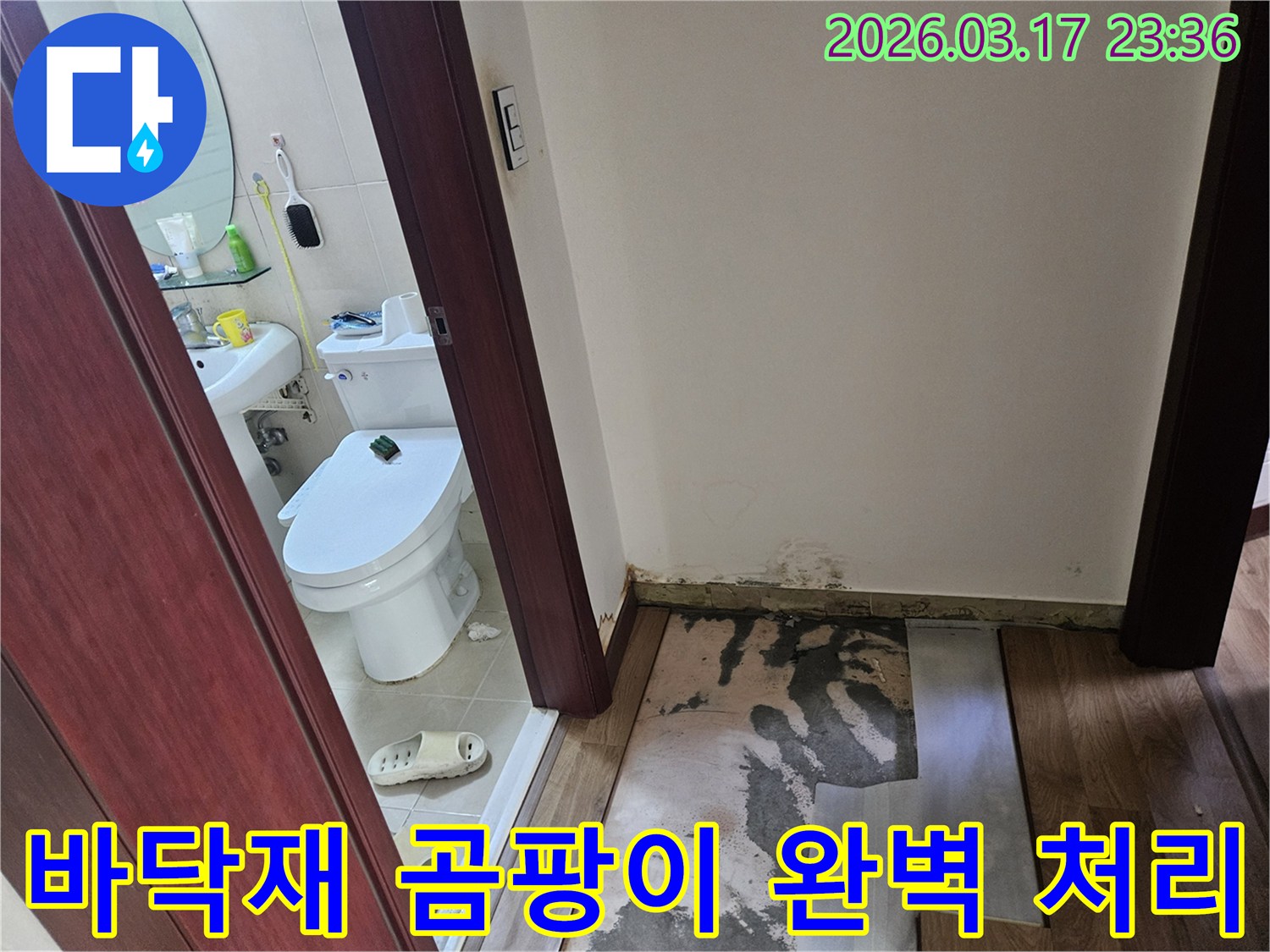 화장실 입구 바닥재가-누수로 인해 손상되어-제거된 후 곰팡이가-발생한 현장 사진입니다